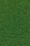 green grass field during daytime
