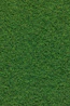 green grass field during daytime
