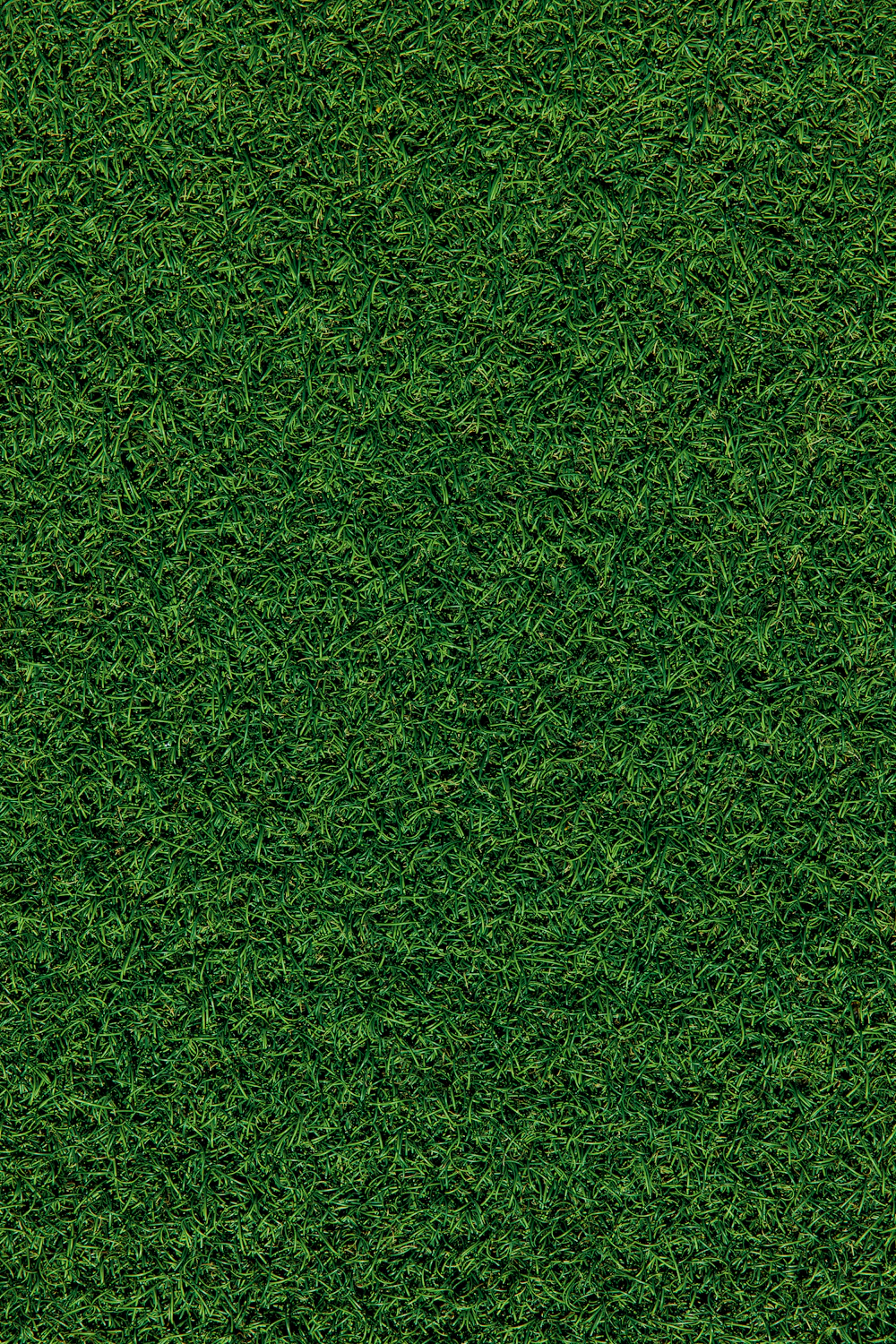 Dicht, gezond en fris groen gazon