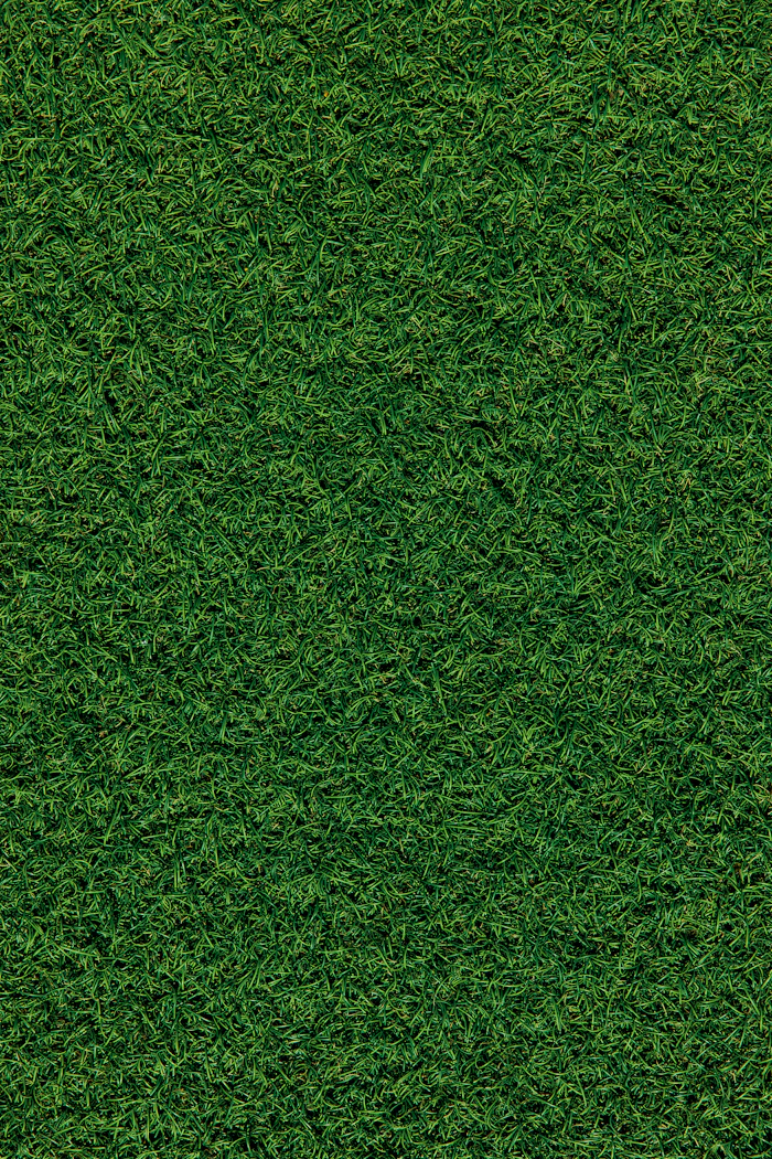 Freshly mowed green lawn