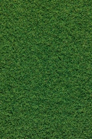 A dense, lush carpet of grass covers the entire surface, showcasing richly textured blades in varying shades of green.