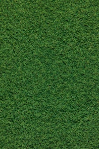 A dense, lush carpet of grass covers the entire surface, showcasing richly textured blades in varying shades of green.