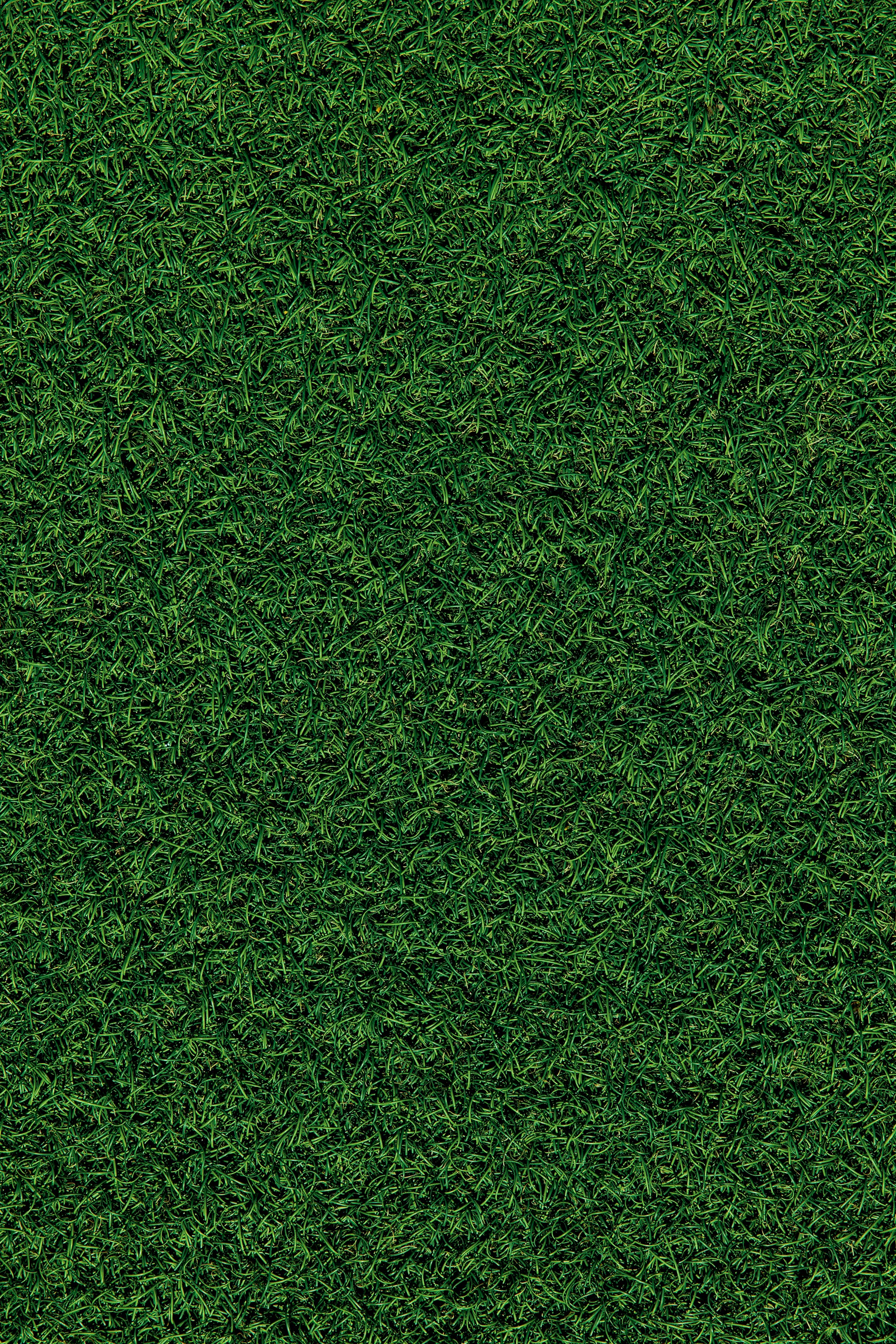 green grass field during daytime