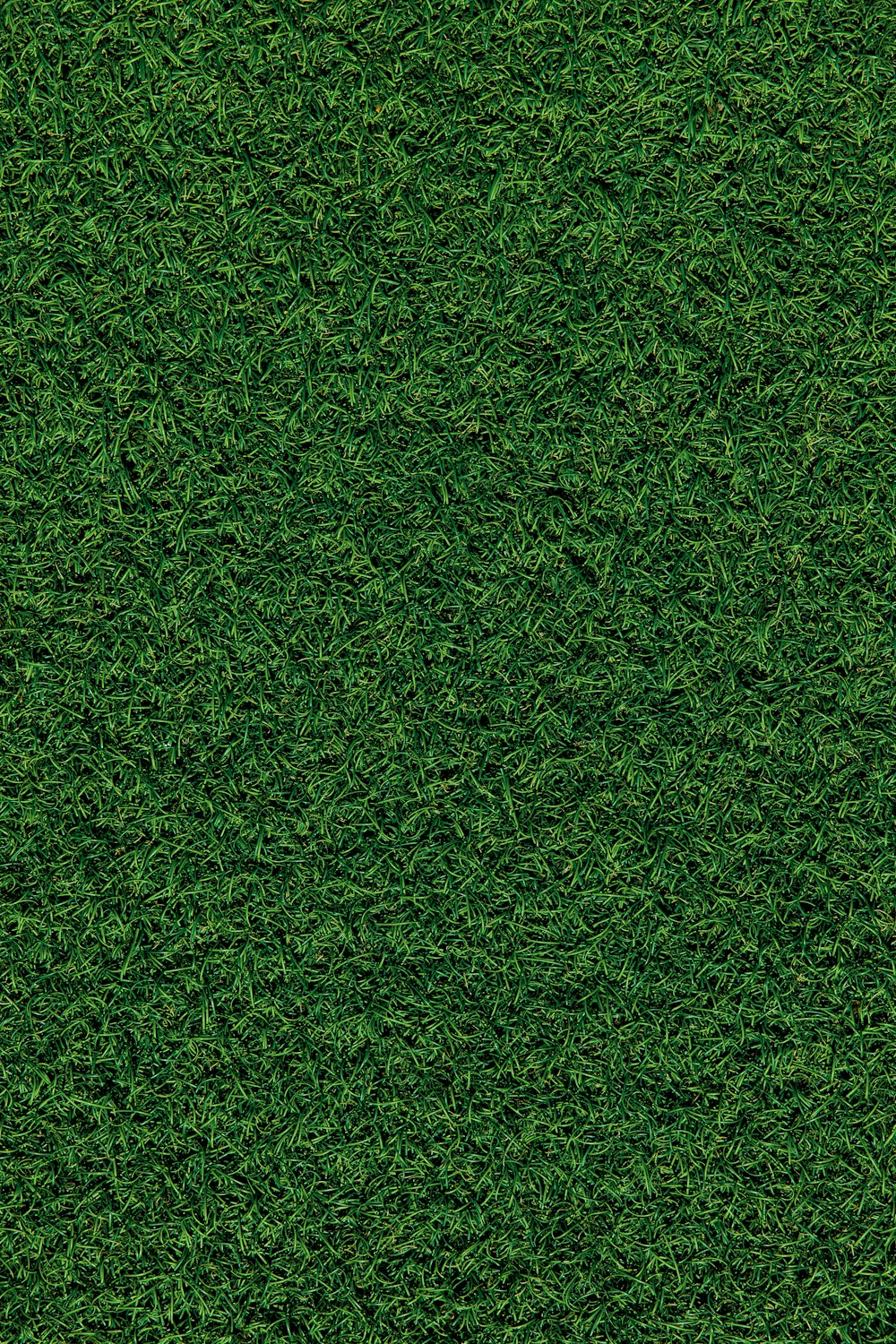 green grass field during daytime