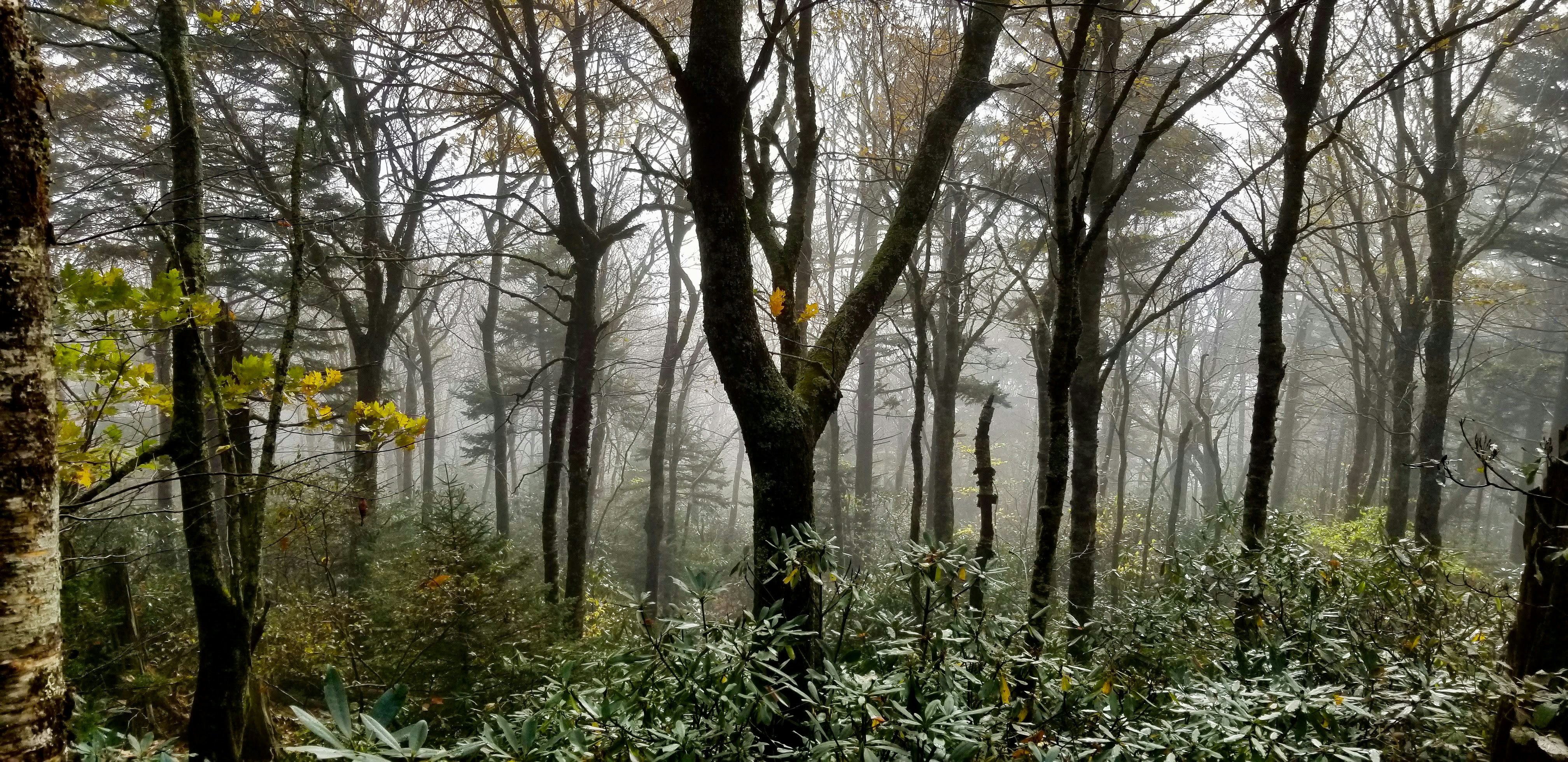 Photography by Jainath Ponnala