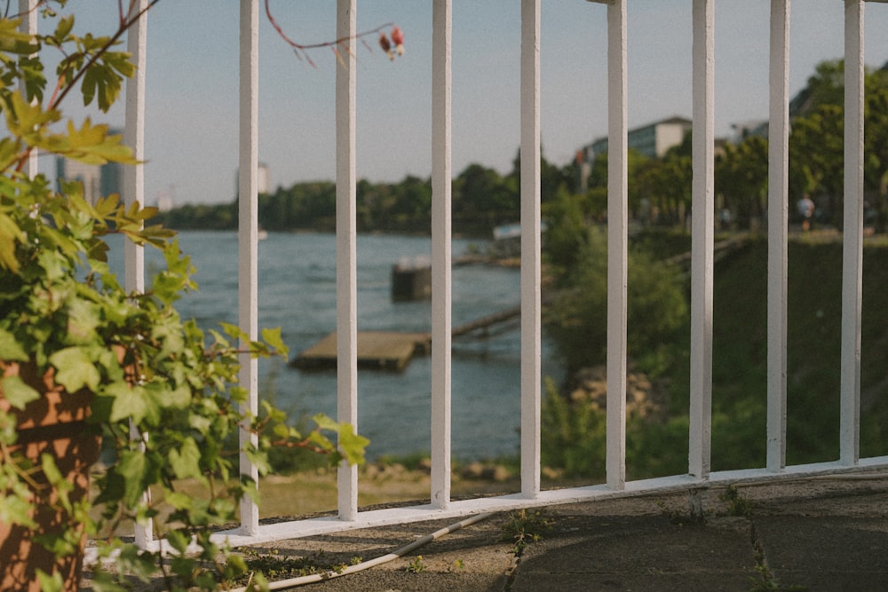 white metal fence near body of water during daytime