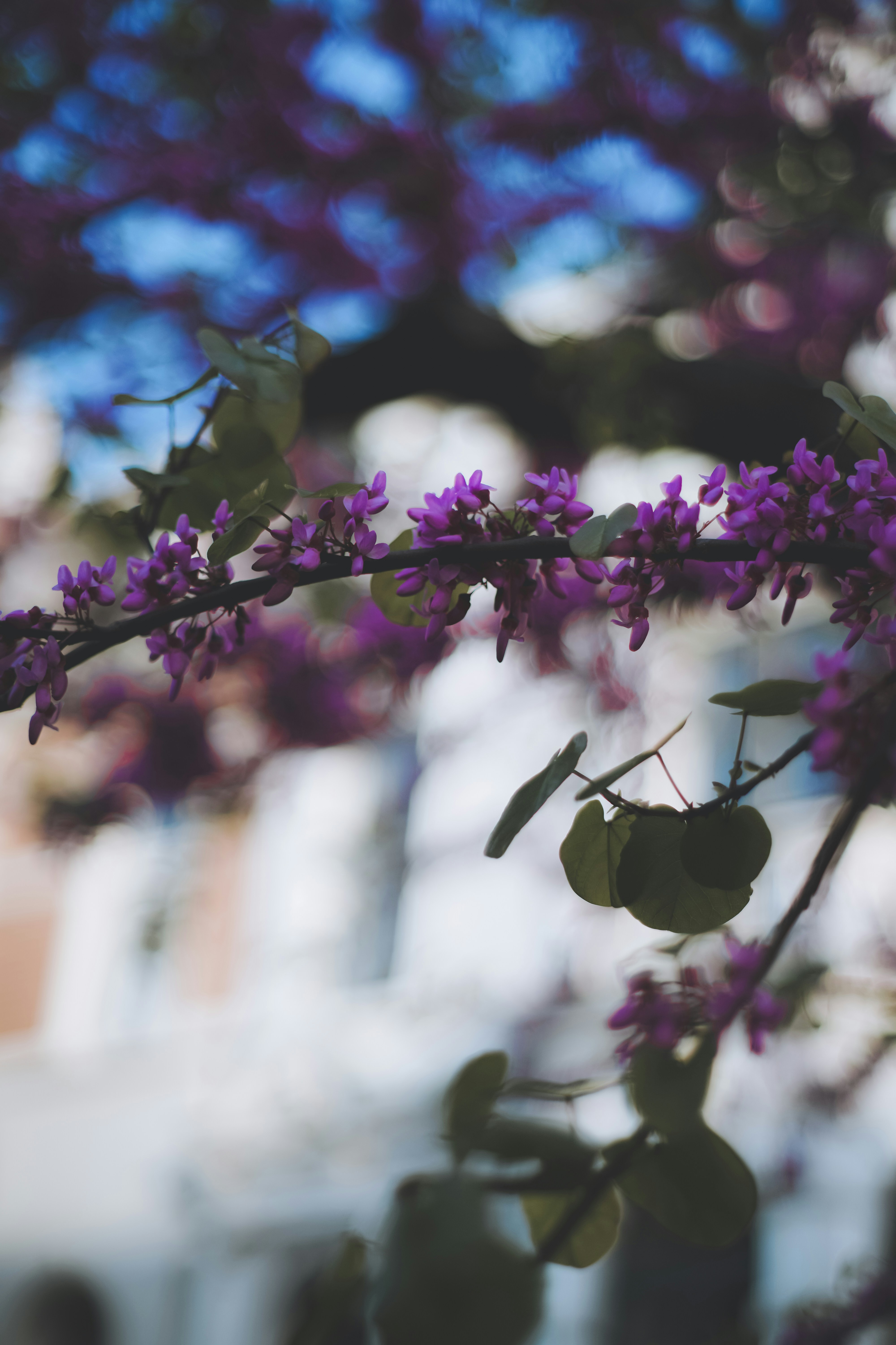 Photo by timaesthetic