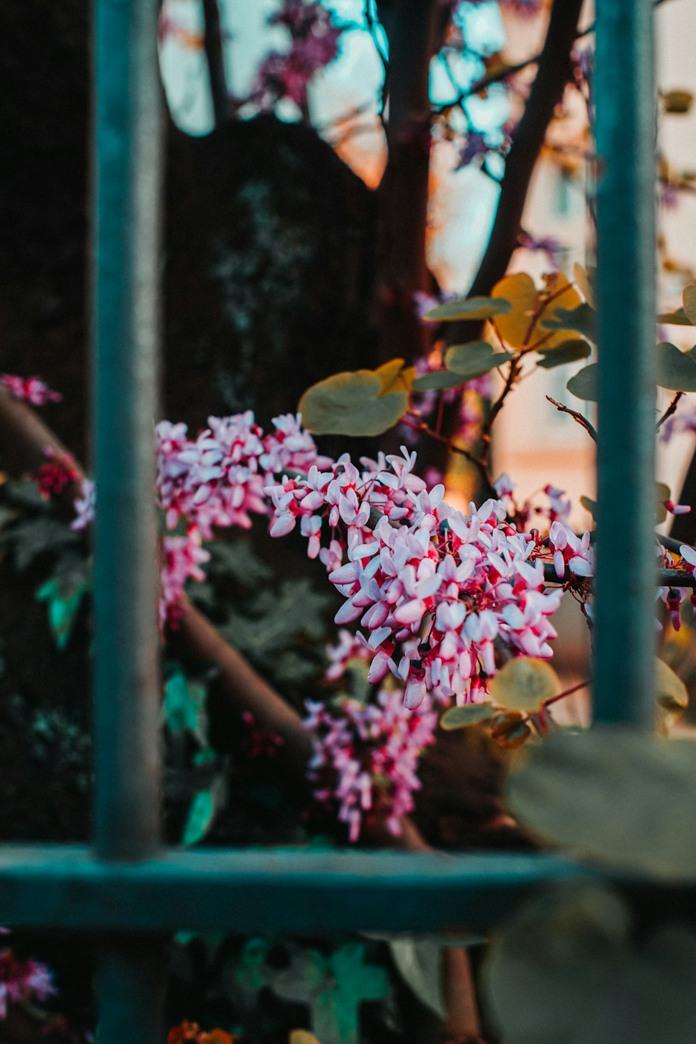 brown bird on pink flower