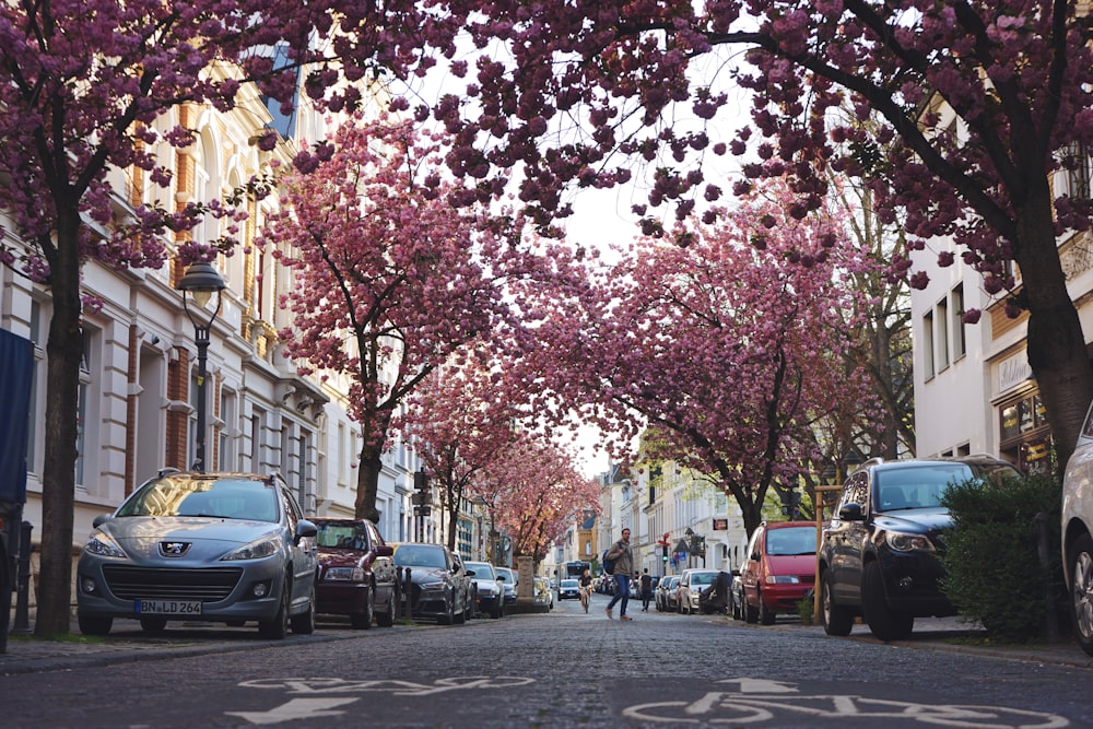 Voitures garées sur le trottoir près de l’immeuble pendant la journée