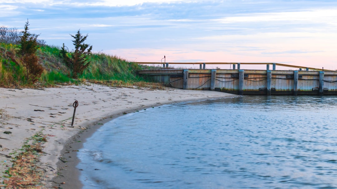 person walking on beach during daytime