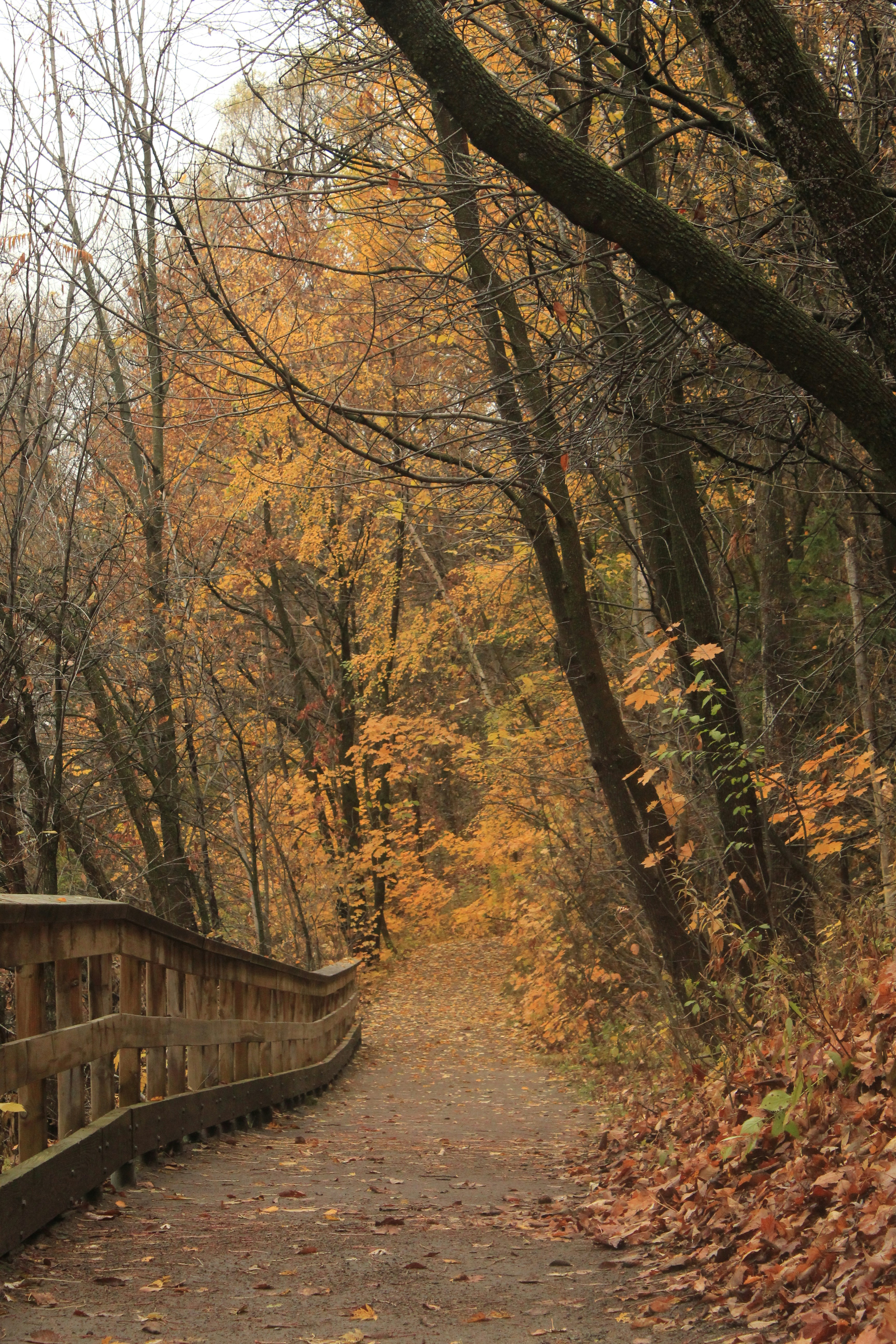 Photo by patriciovargasr23