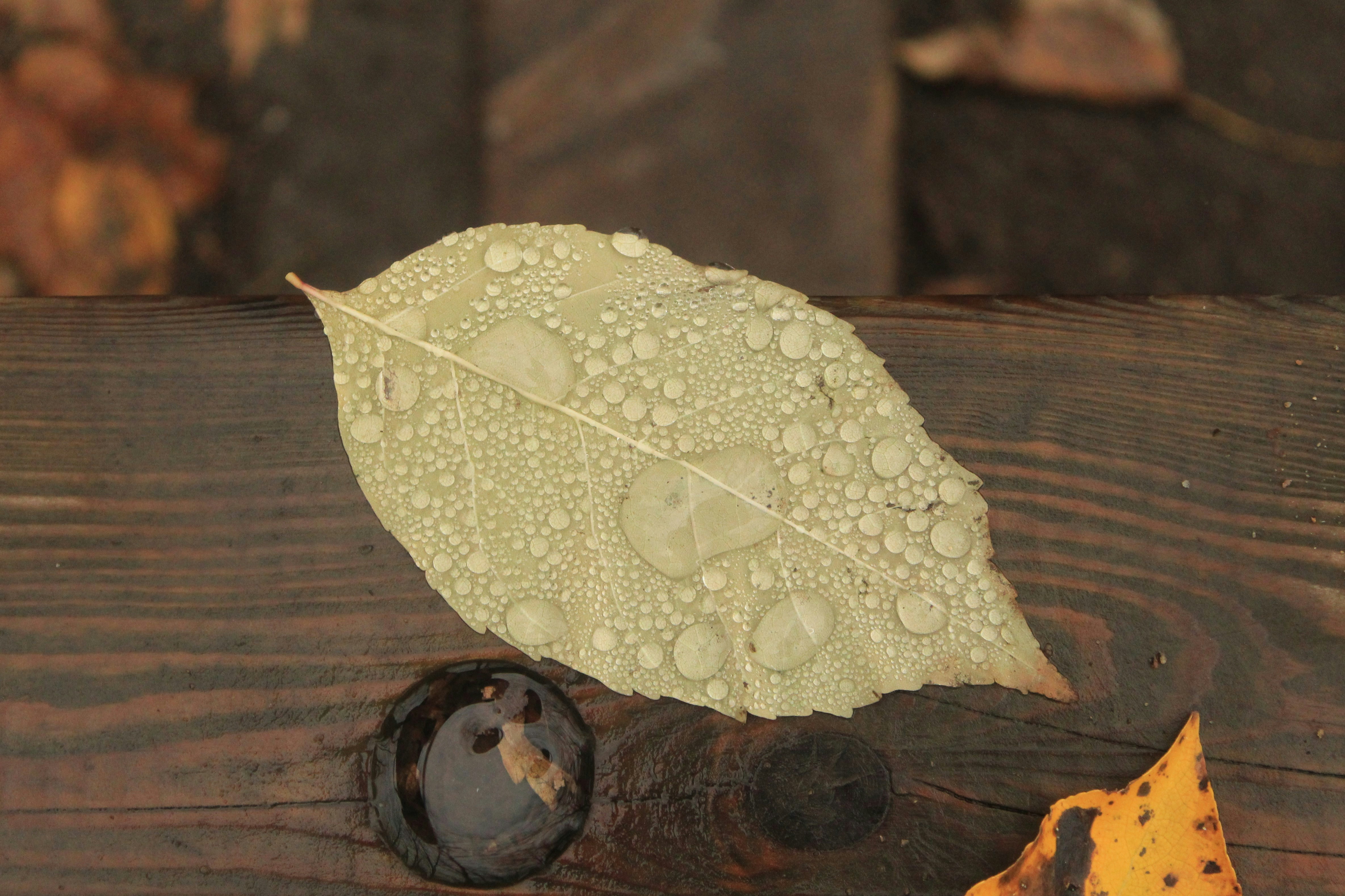 Quebec City – Accommodation & Where to Stay