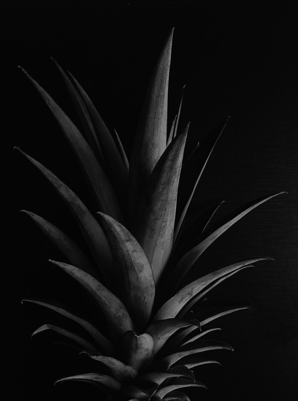 green and black pineapple fruit