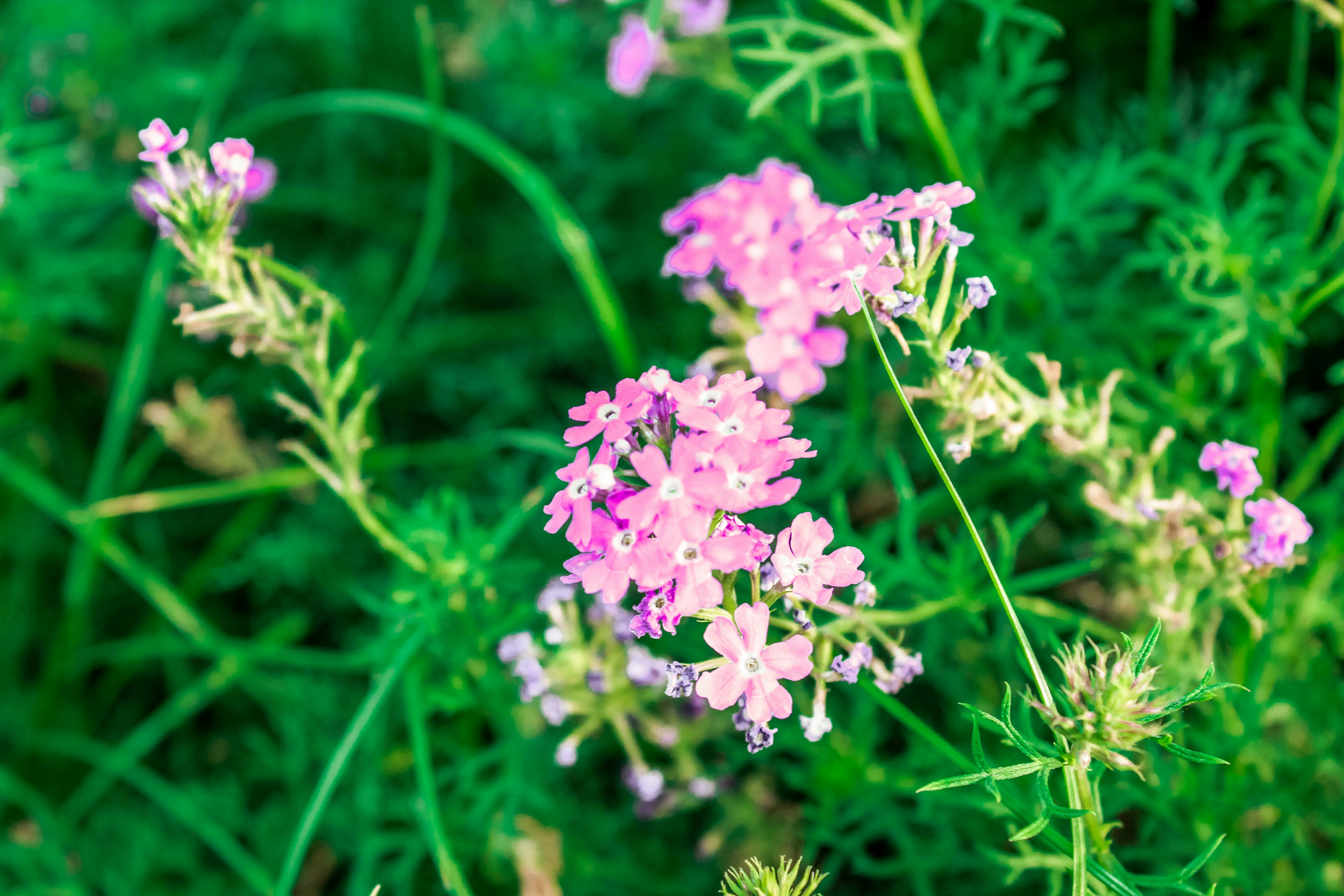 Photo by beingfarooq247365