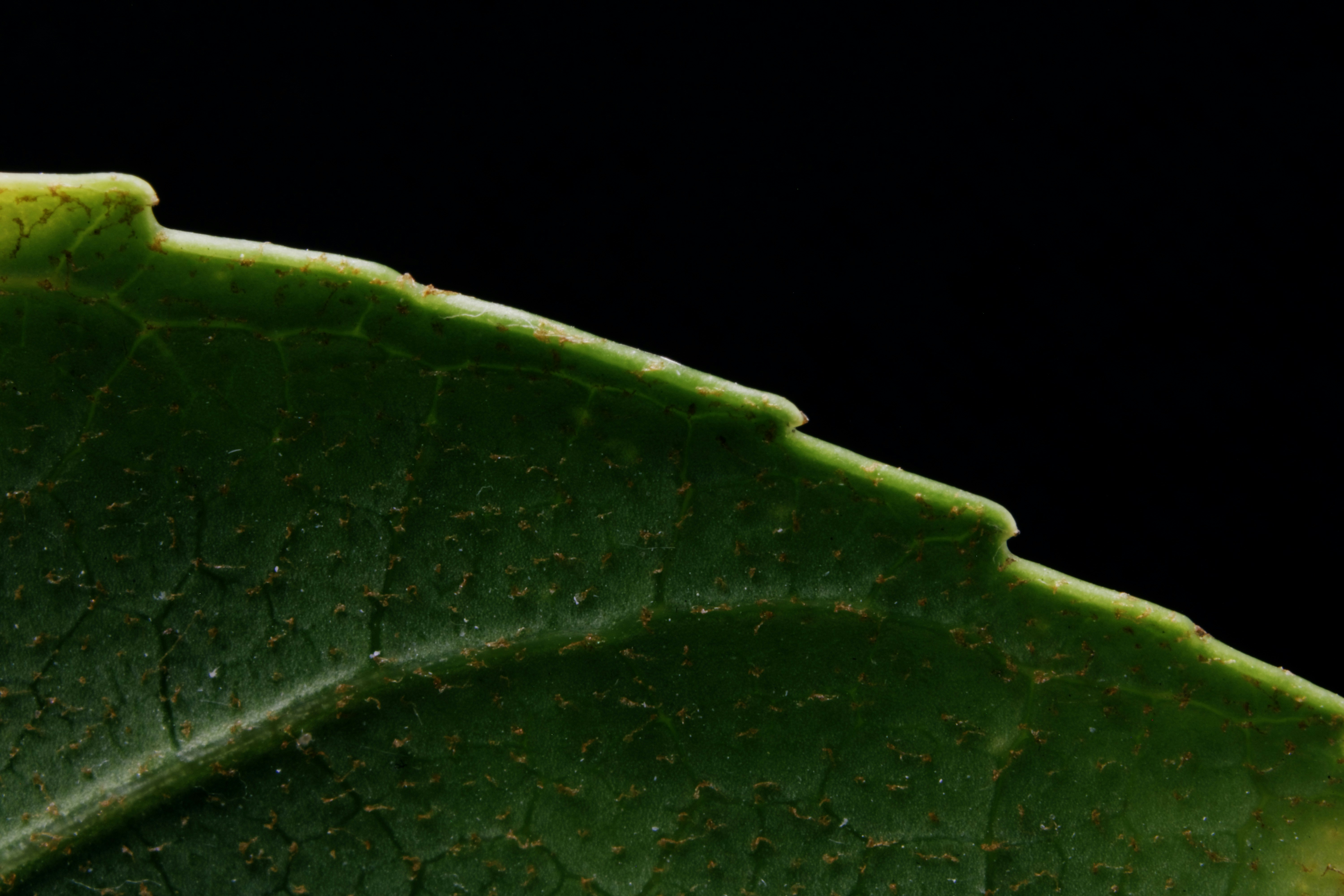 Photo by picsbyjameslee