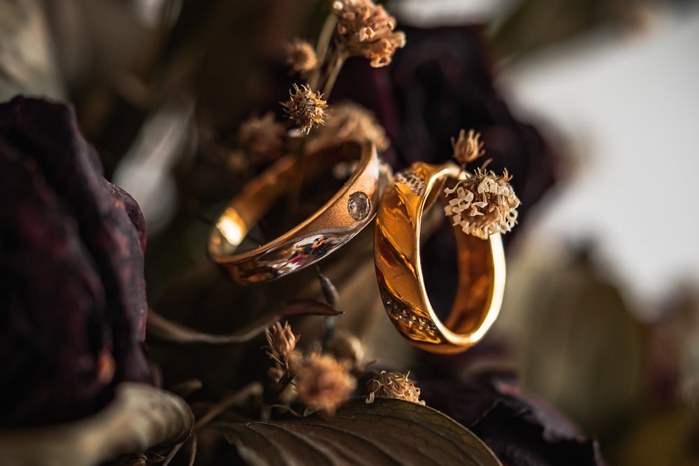 aliança de casamento dourada em folhas marrons