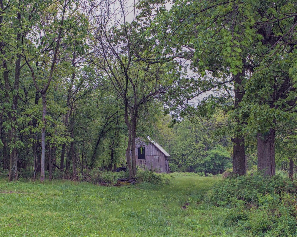 Braunes Holzhaus inmitten eines grünen Grasfeldes