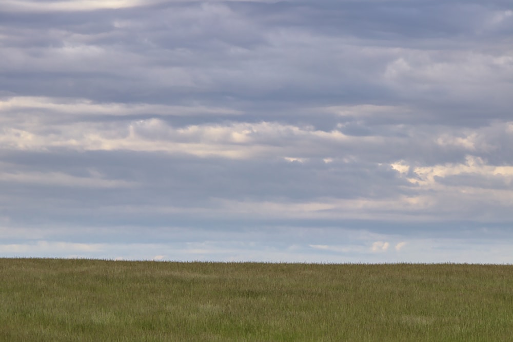 green grass field under white clouds during daytime