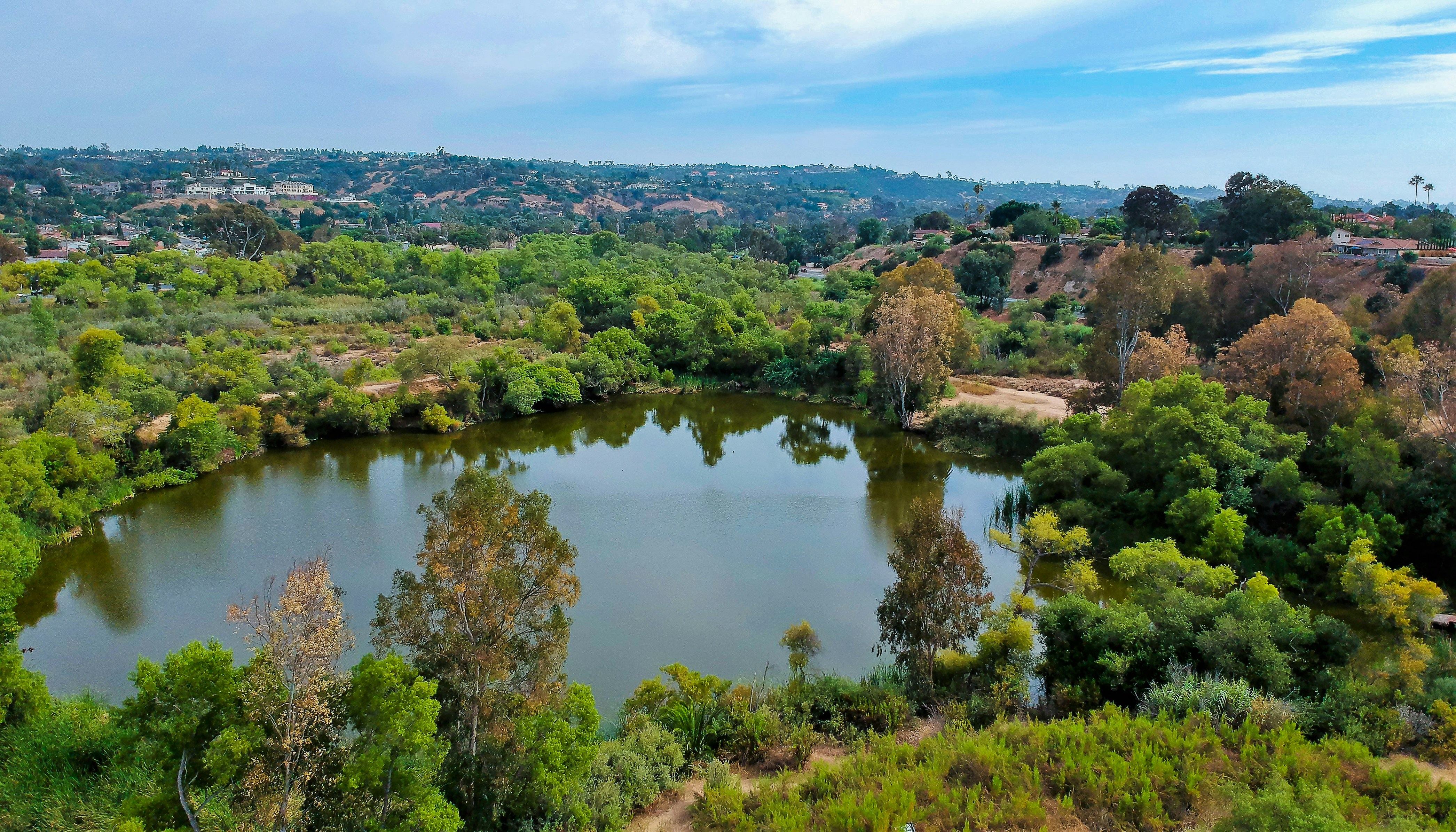 green trees near lake under blue sky during daytime