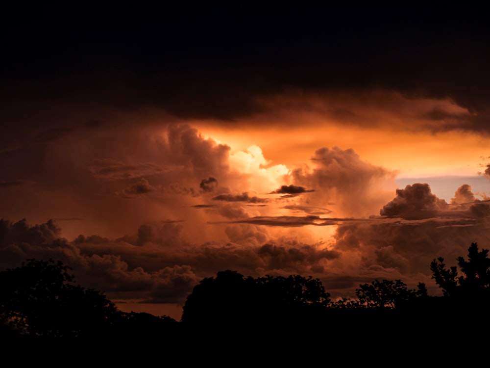 Silhouette von Bäumen unter bewölktem Himmel bei Sonnenuntergang