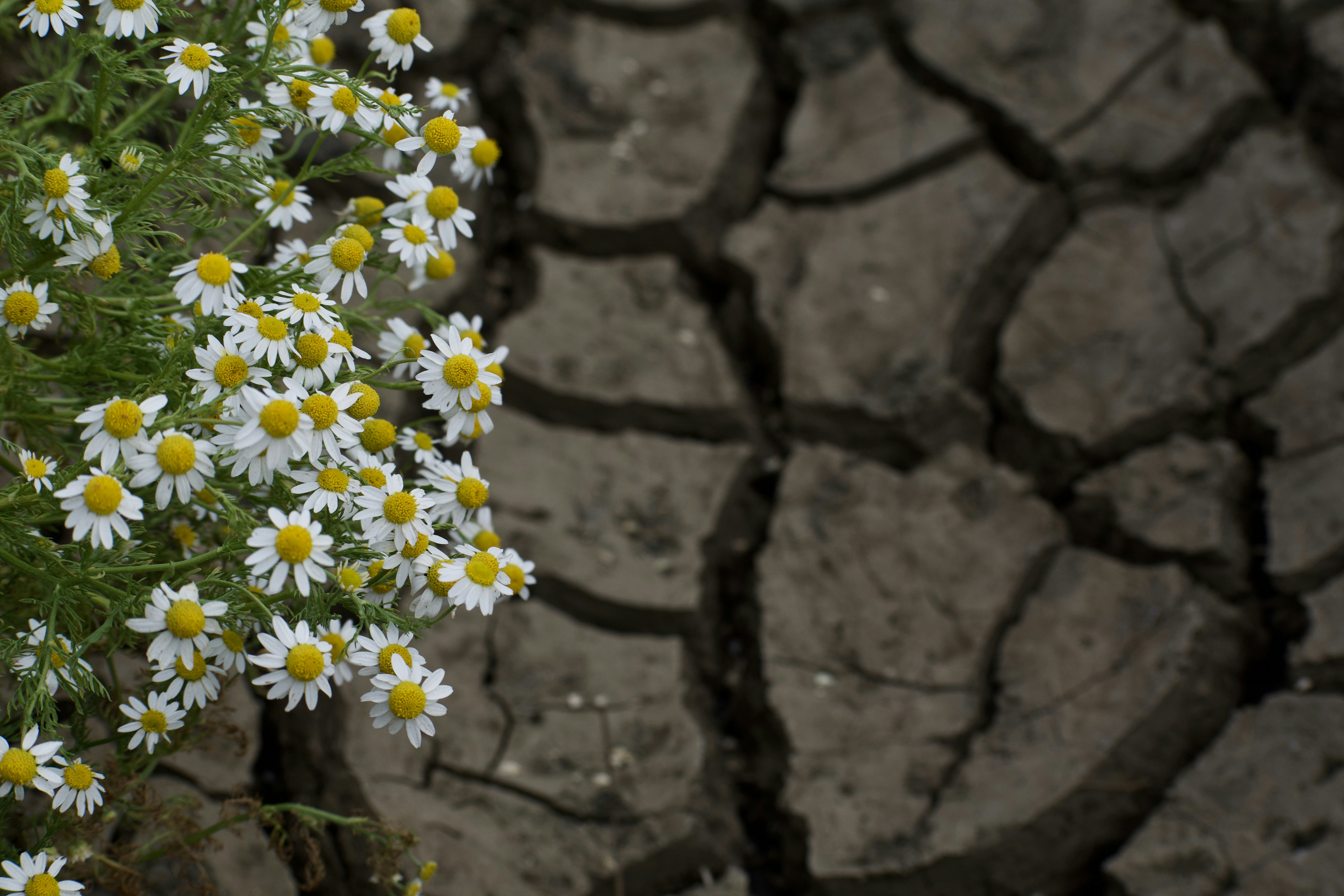 Global Temperatures Continue Ascent Amidst Intensified Climate Debate