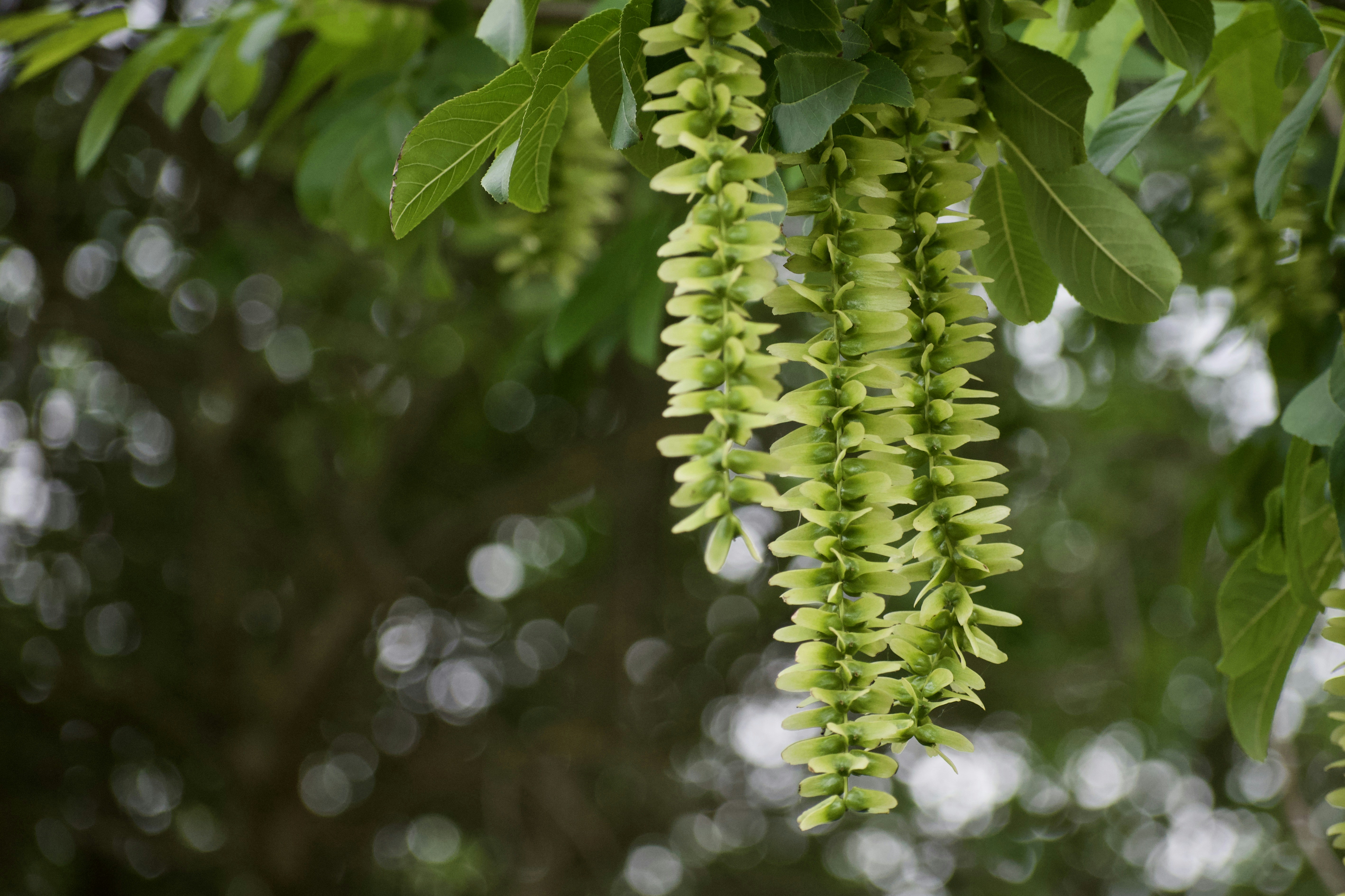 Photo by elisastonephotography