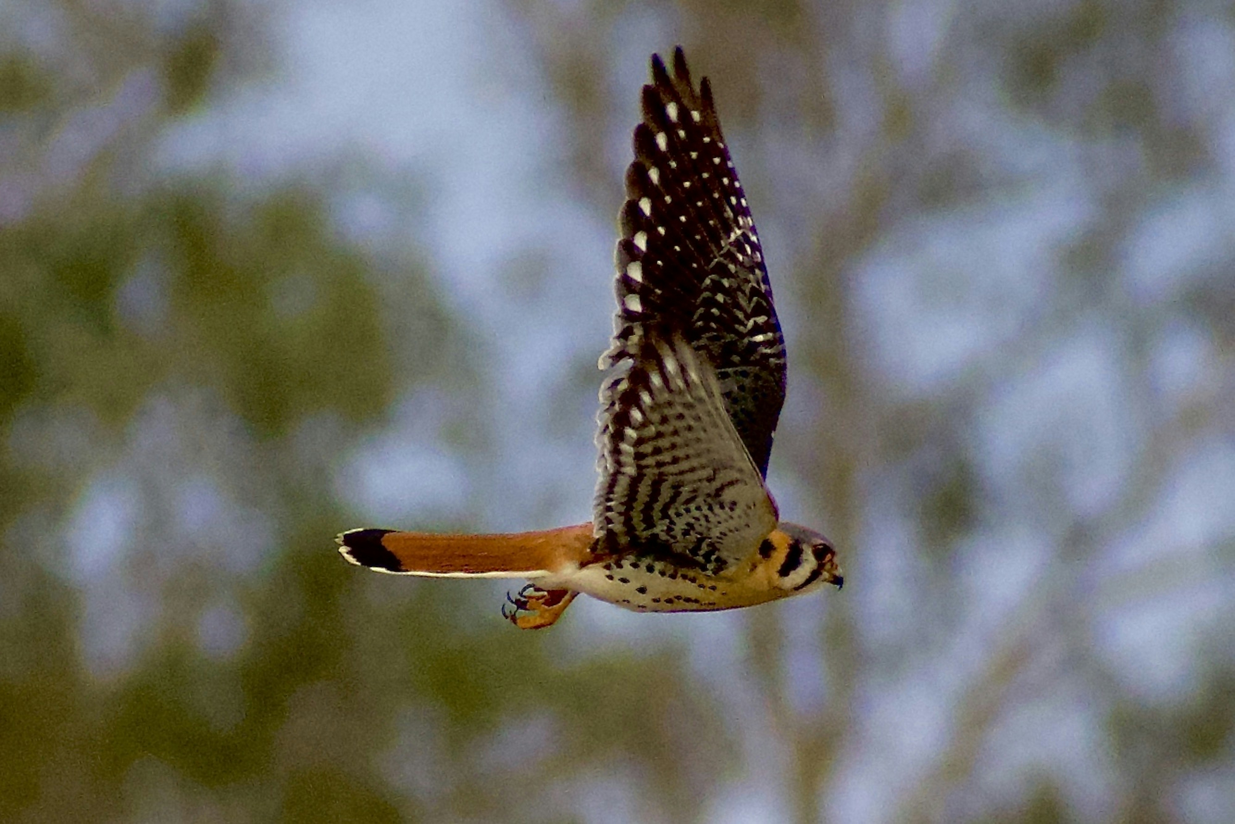 Photo by elisastonephotography