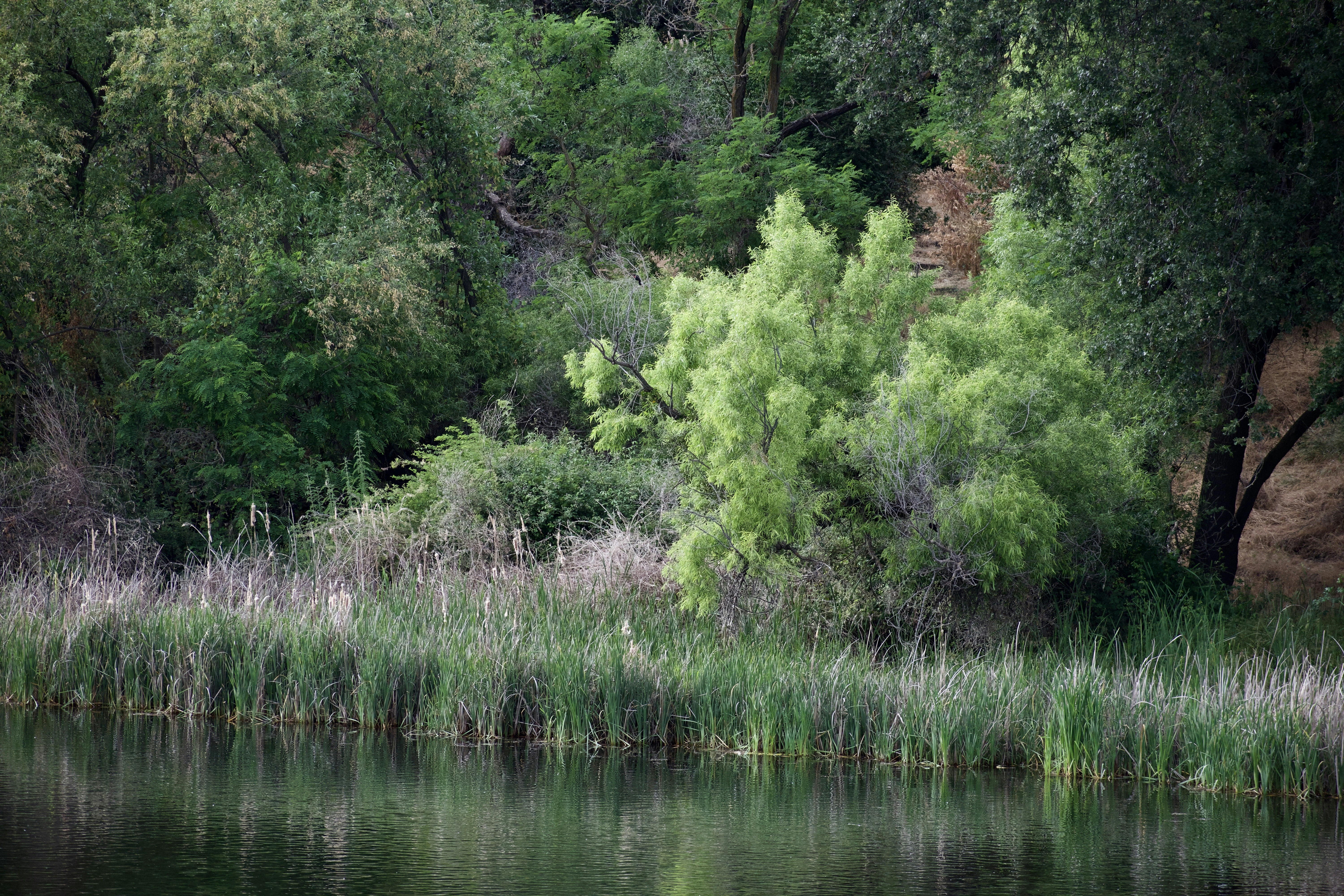 Photo by elisastonephotography