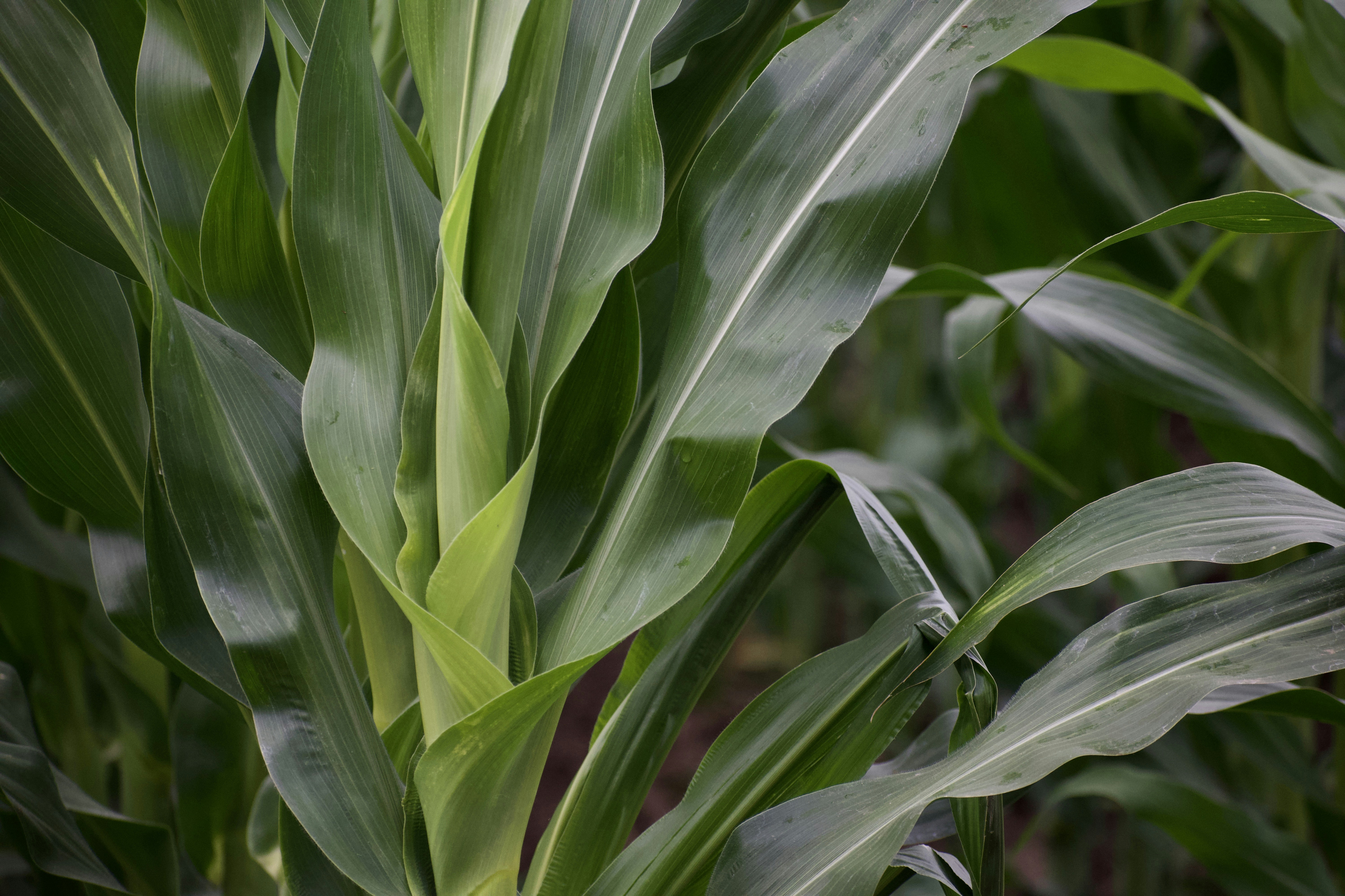 Photo by elisastonephotography