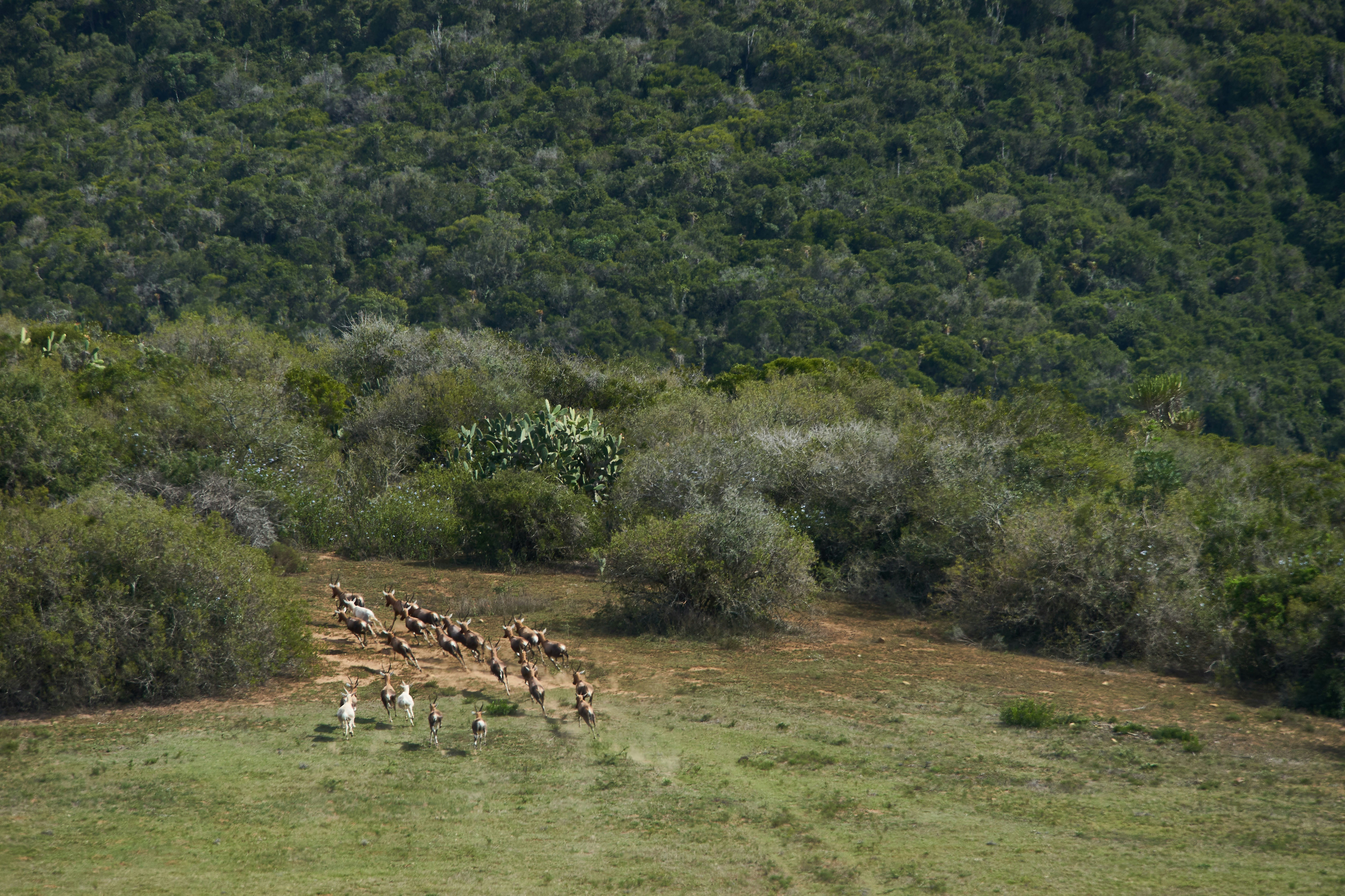 Photo by wolfgang_hasselmann