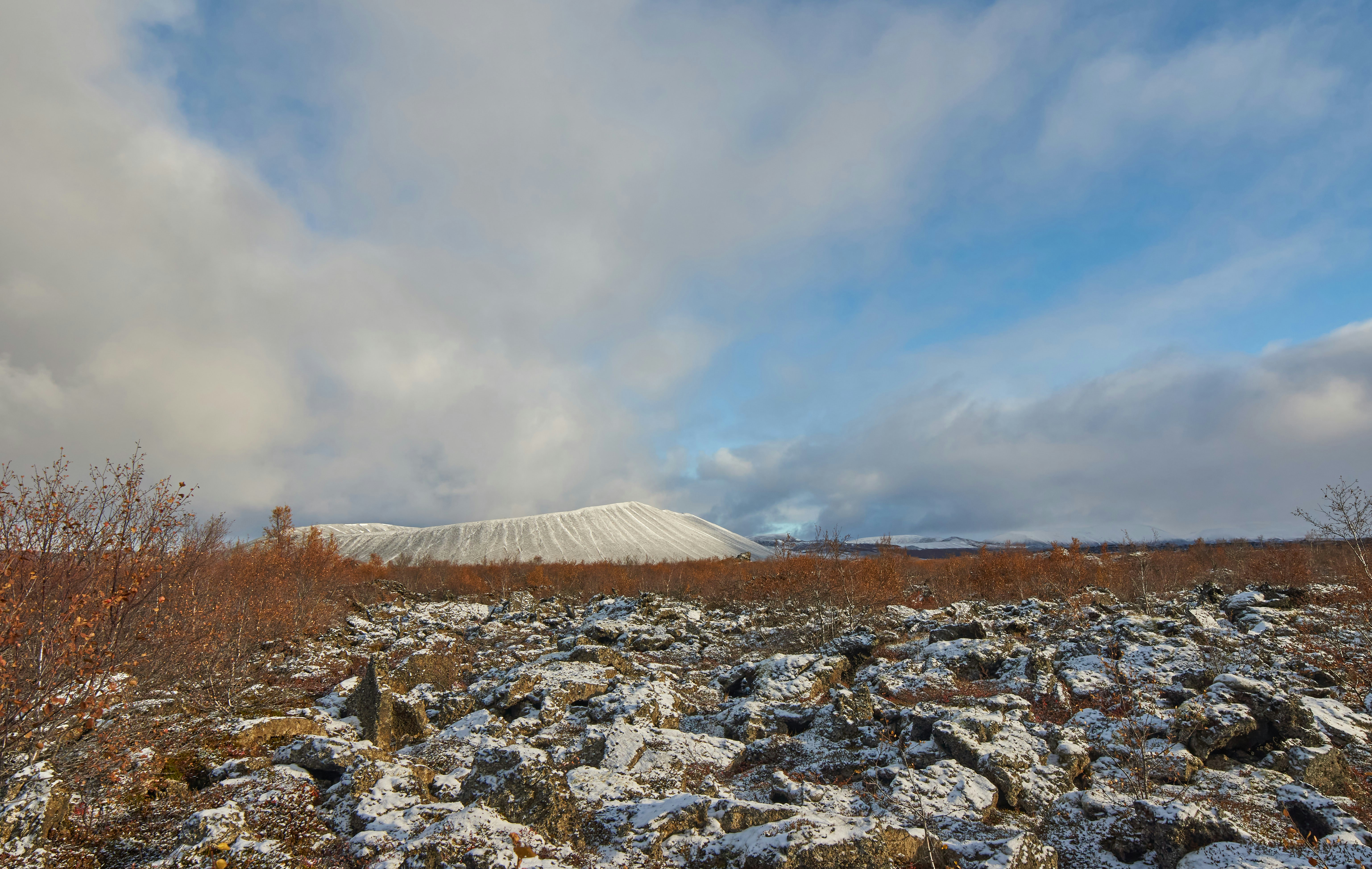 Photo by wolfgang_hasselmann