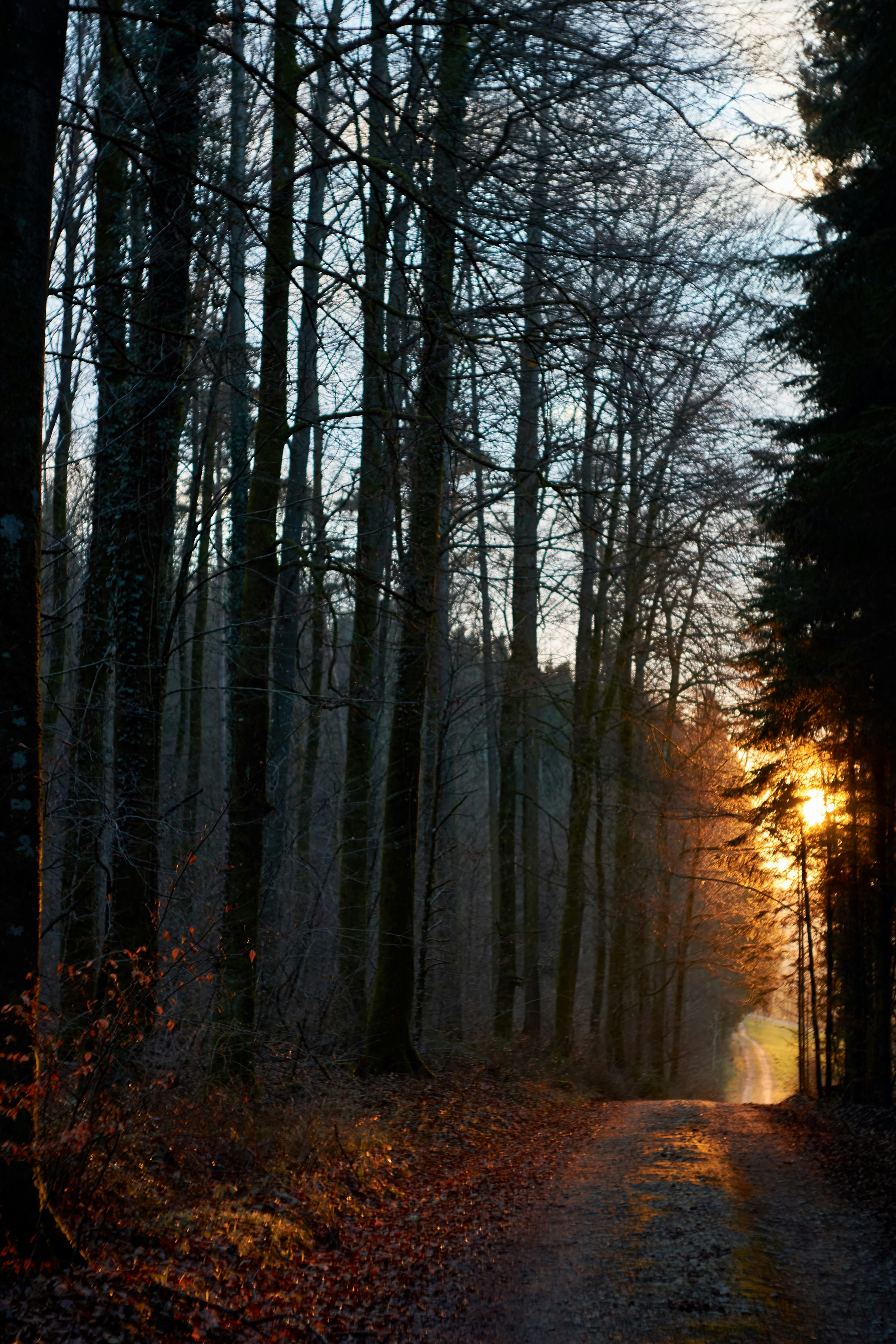 Photo by wolfgang_hasselmann