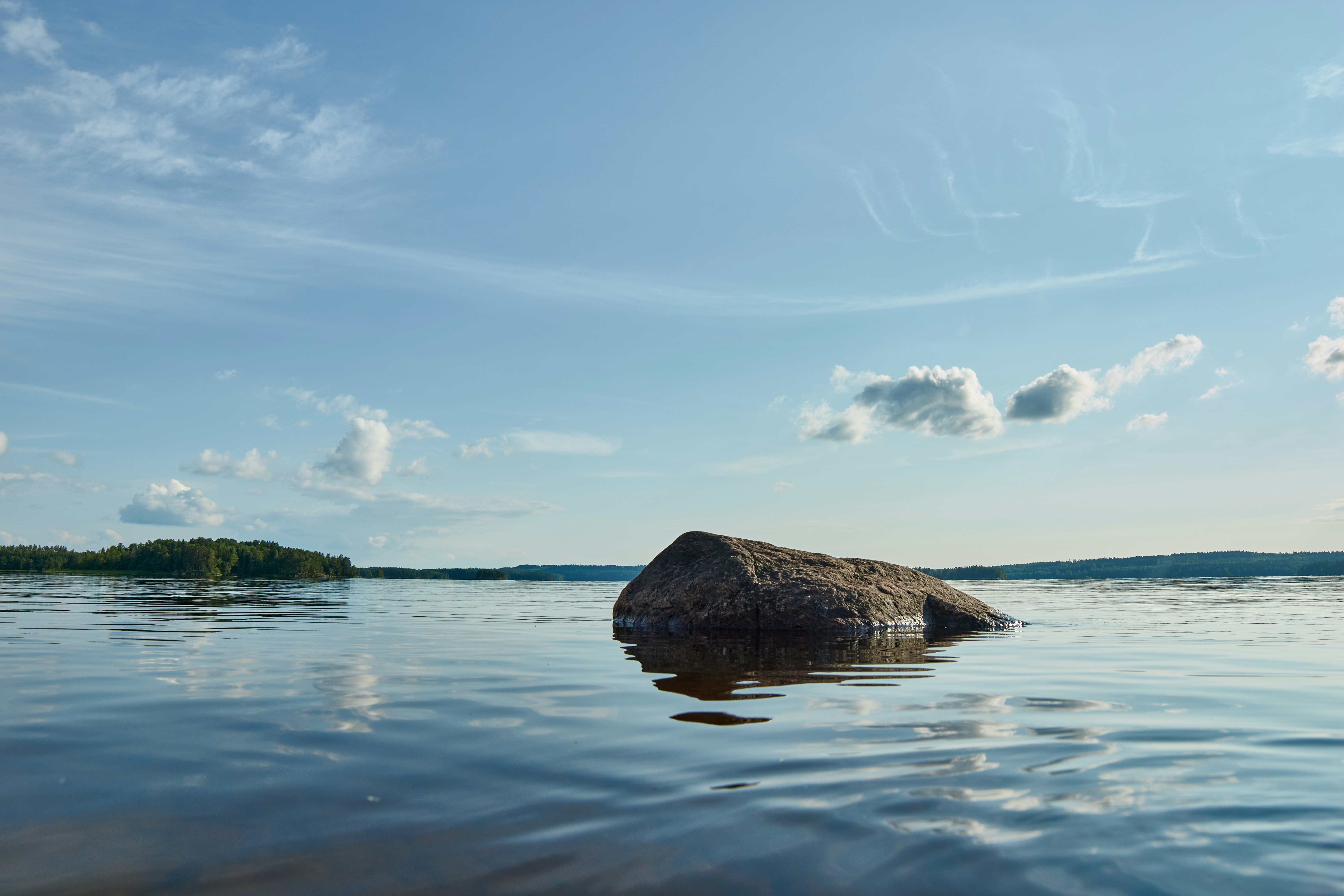 Photo by wolfgang_hasselmann