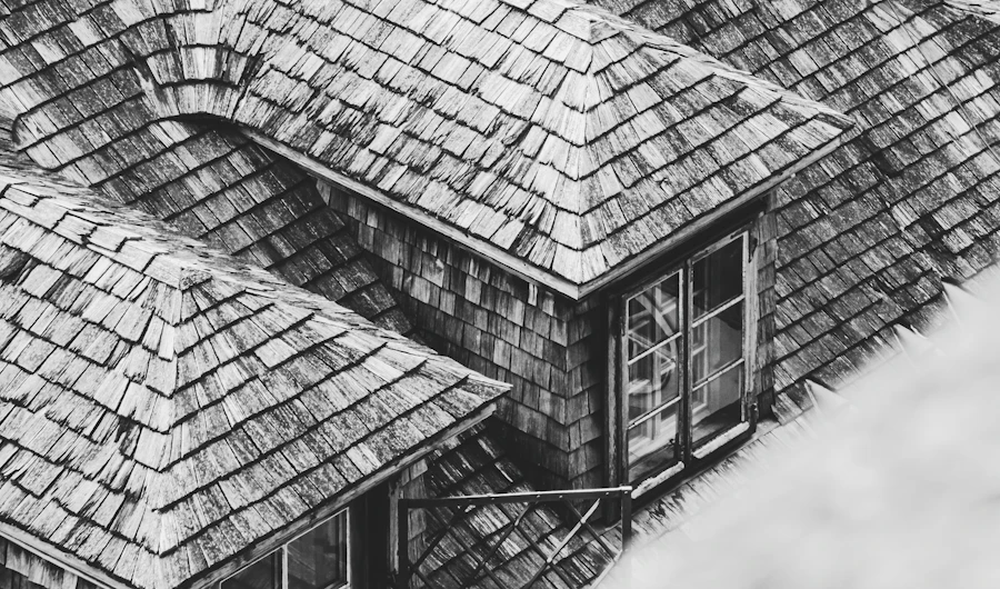 Black-and-white photo of a shingled roof with dormers