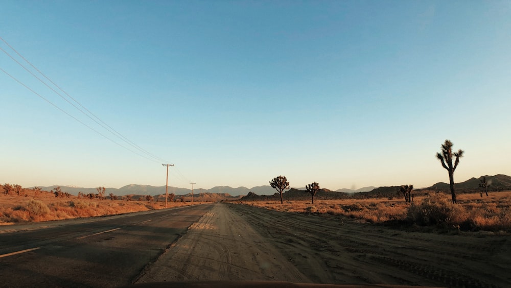 日中の茶色の未舗装道路