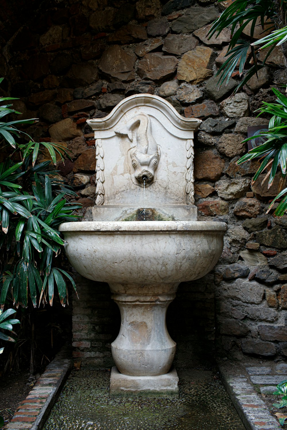 green plant on white concrete fountain