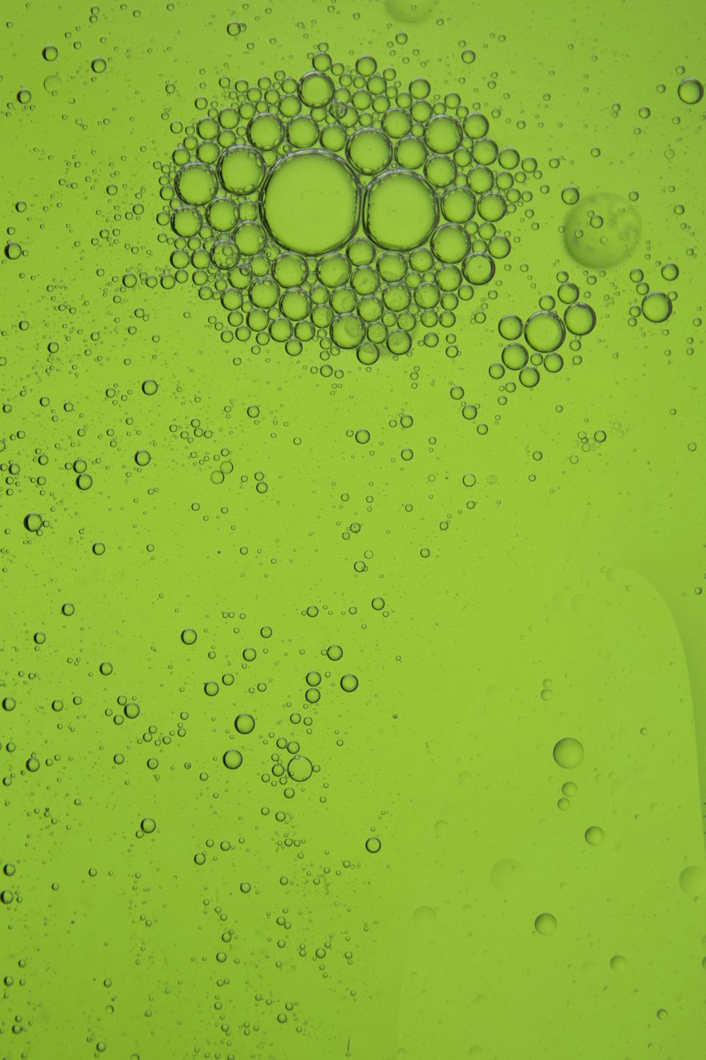 water droplets on green surface