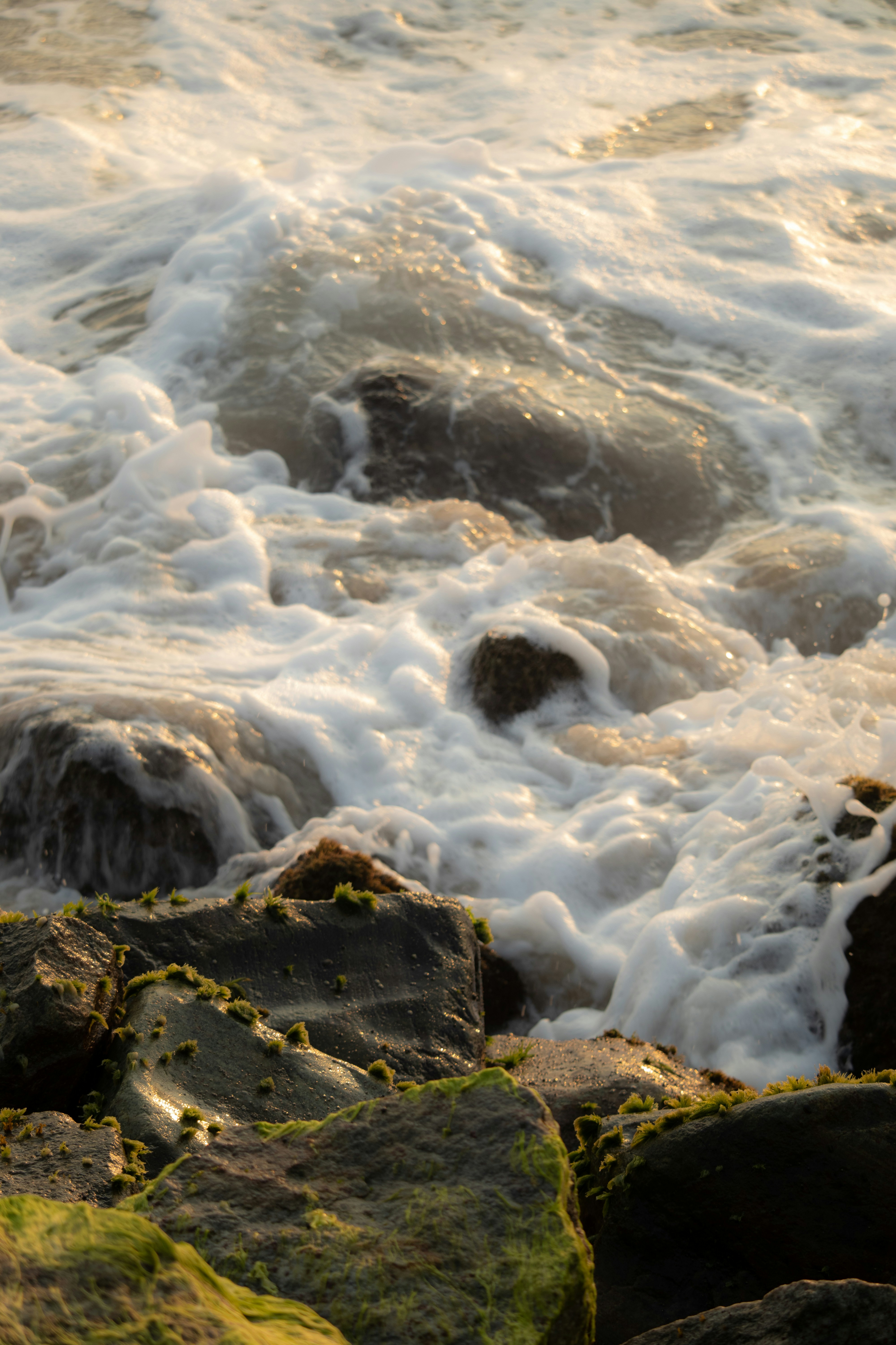 Photo by maitreyi_03