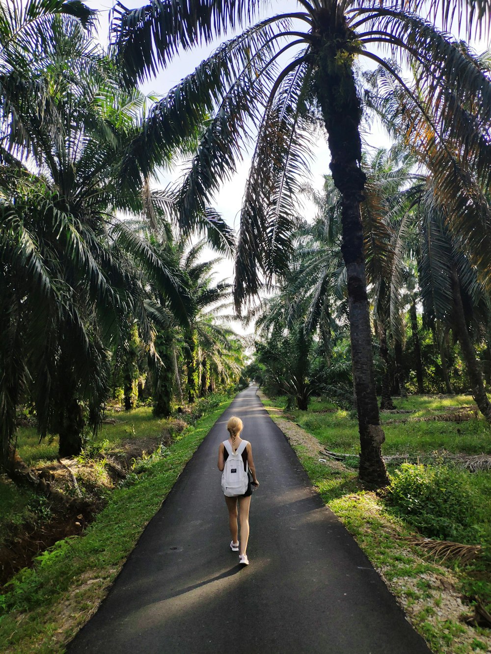 woman in white dress walking on pathway between green trees during daytime