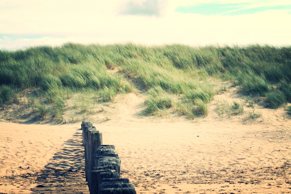 Seaside class on the Cadzand Dutch coast