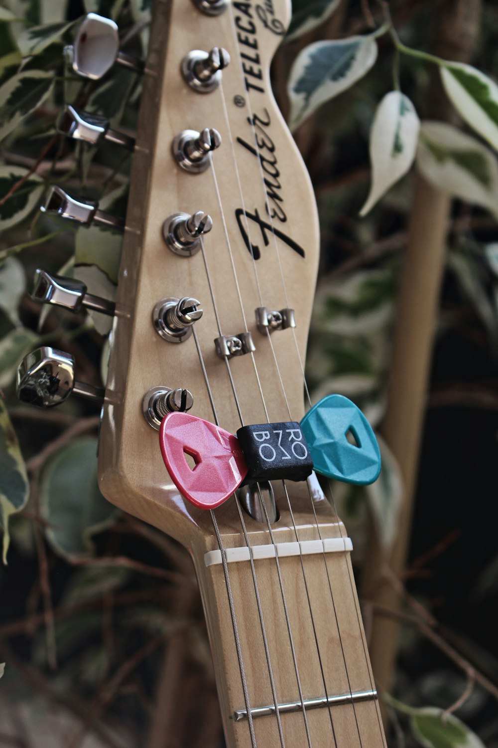 brown and pink guitar pick