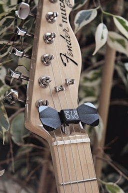 A close-up view of a guitar headstock with tuning pegs, adorned with a capo. The wooden finish displays a light brown hue with metallic tuning mechanisms. In the background, out-of-focus green foliage adds a natural touch.