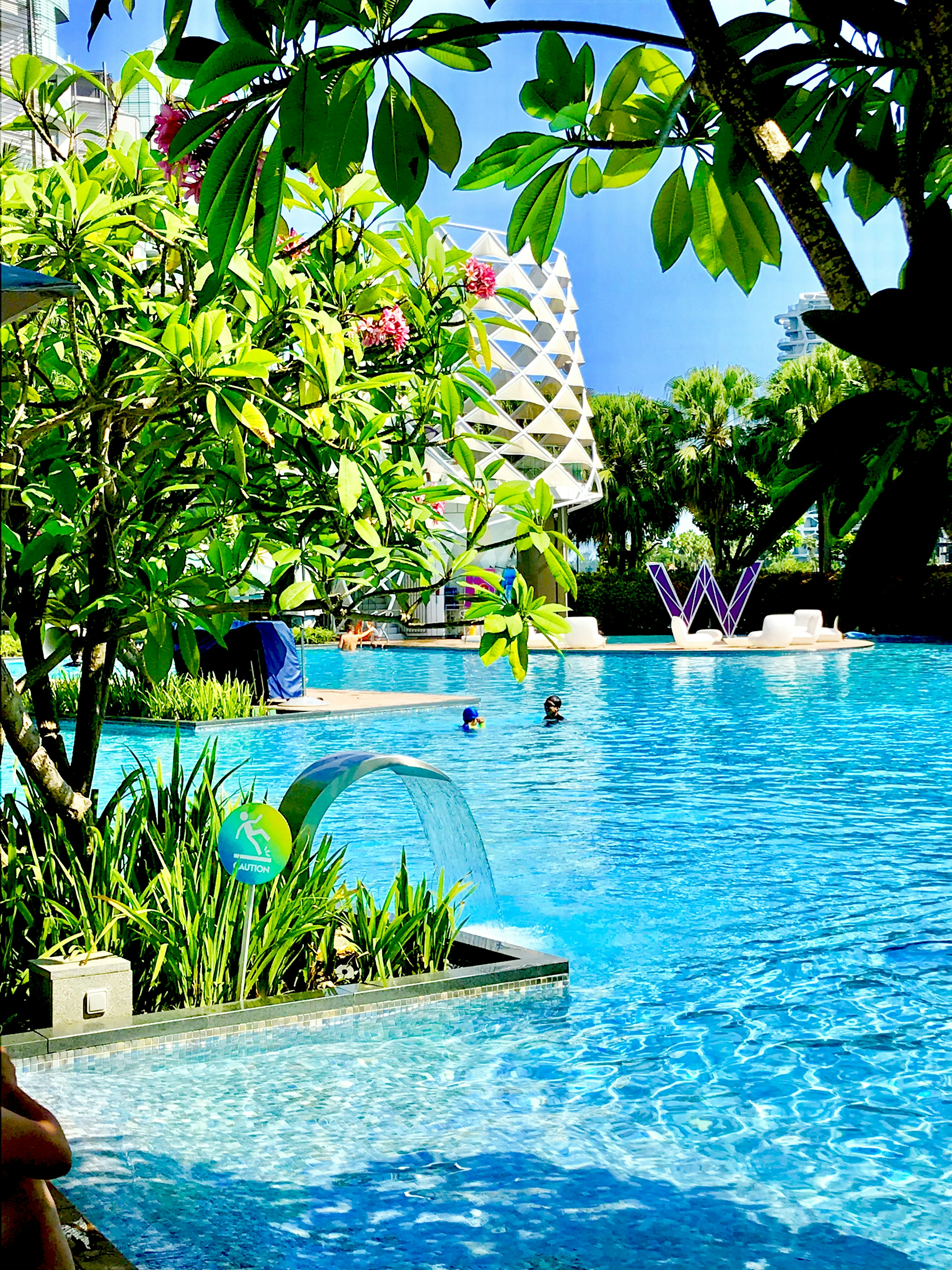 Freshly installed fiberglass swimming pool with clean blue water, white coping, and manicured lawn in a South African garden