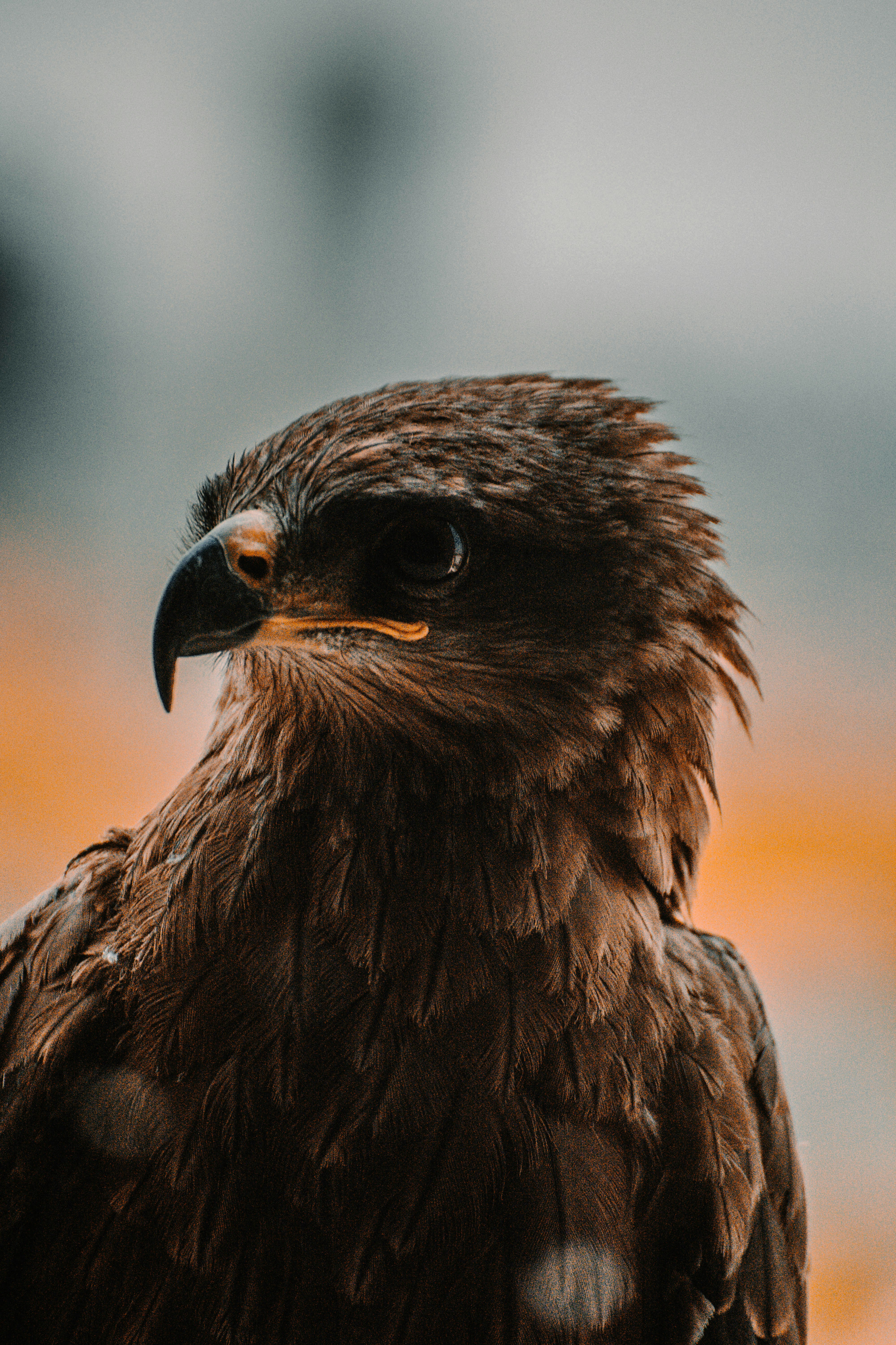 Photo by aditya_vs14