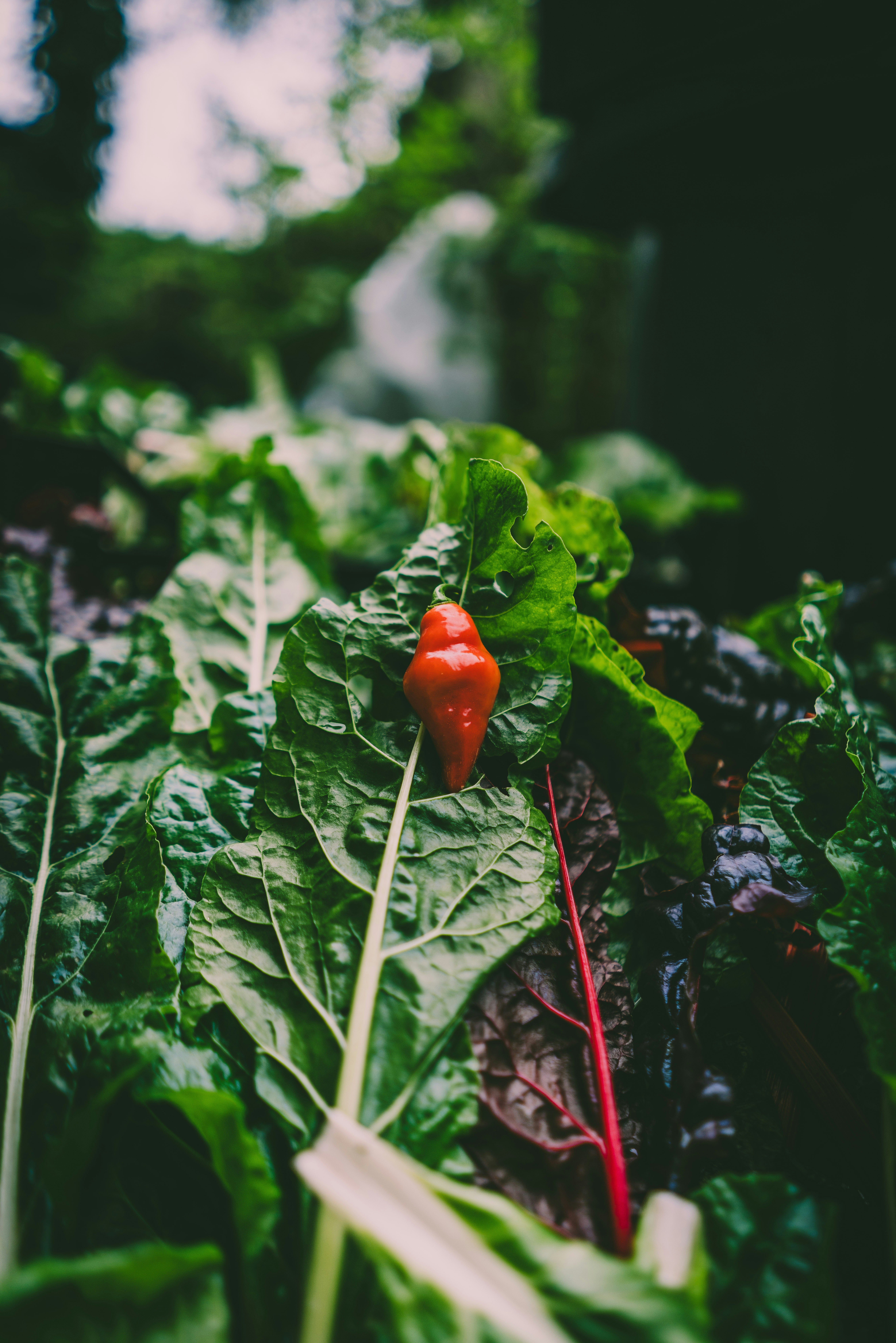 Photo by agriturismo_cascina_torrine