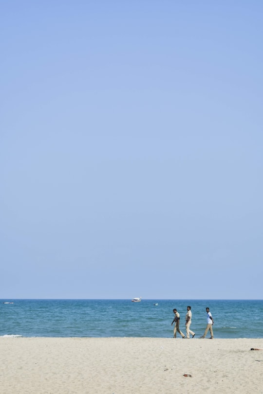 people in beach during daytime in Pondicherry India