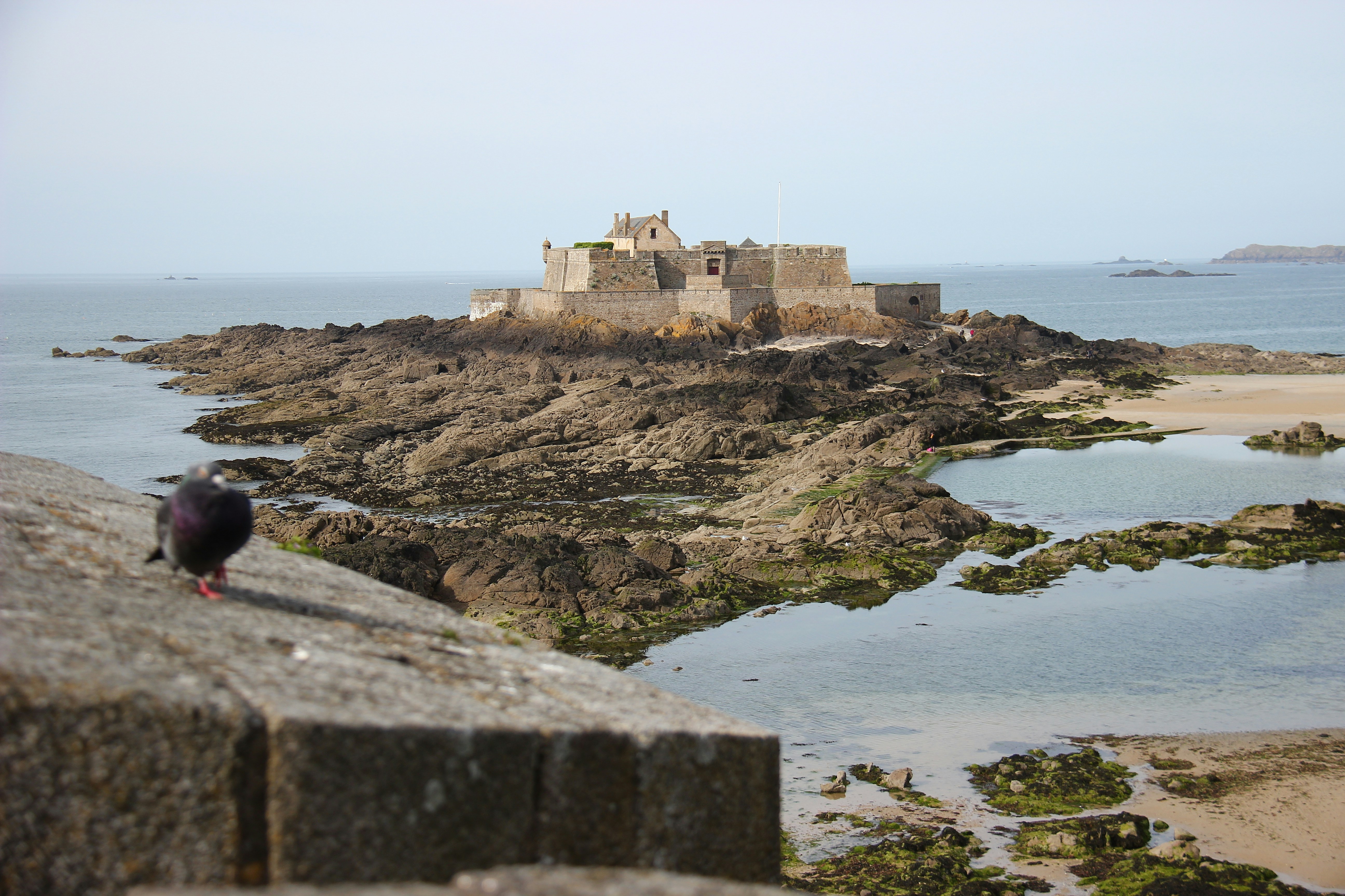 Photo by shalevcohen