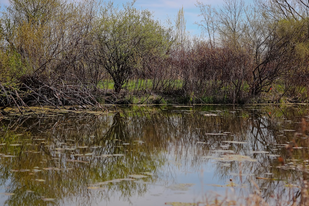 Nature reserve photo spot Toronto Springwater