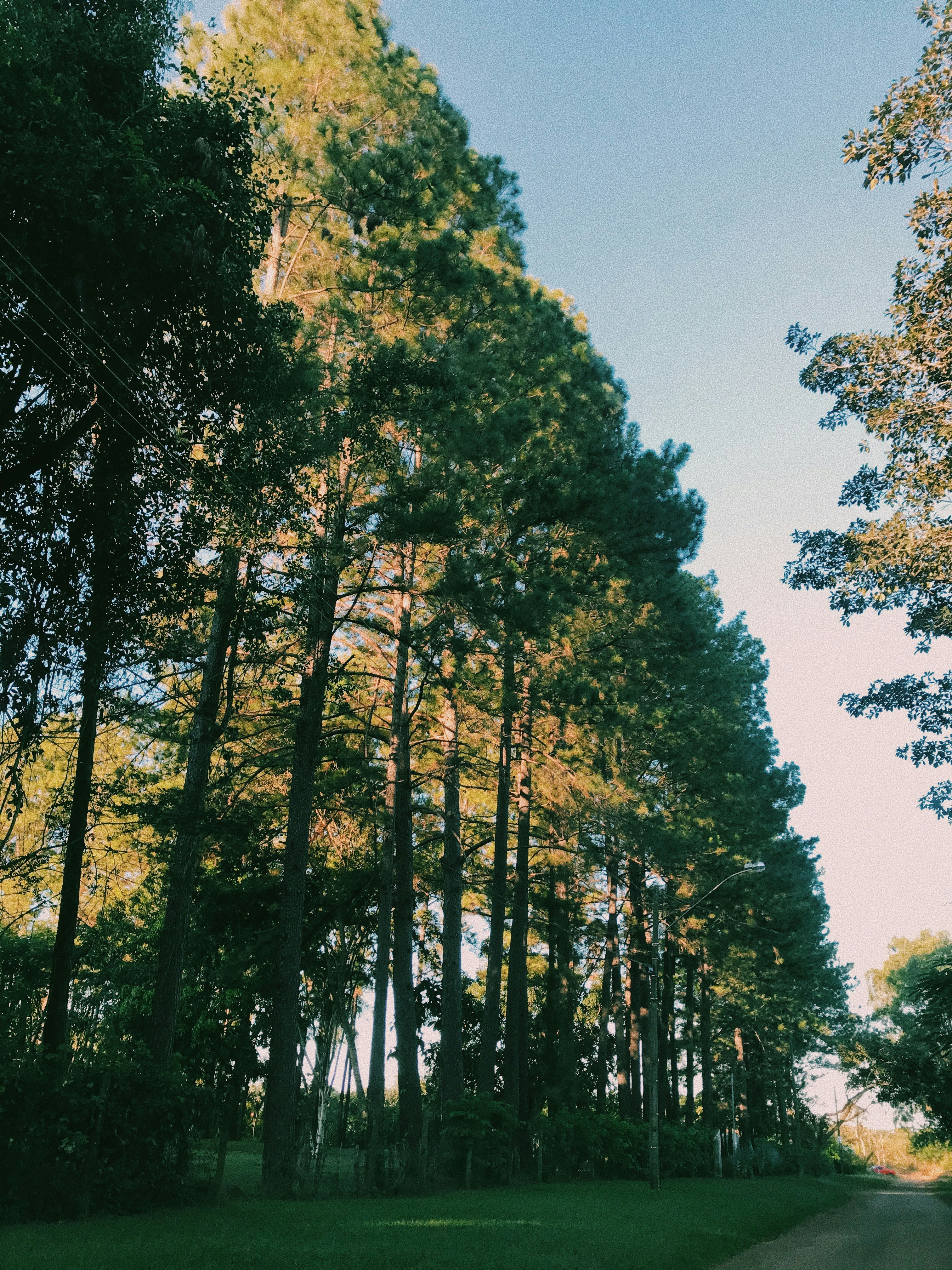 Photo by gabriellemeschini