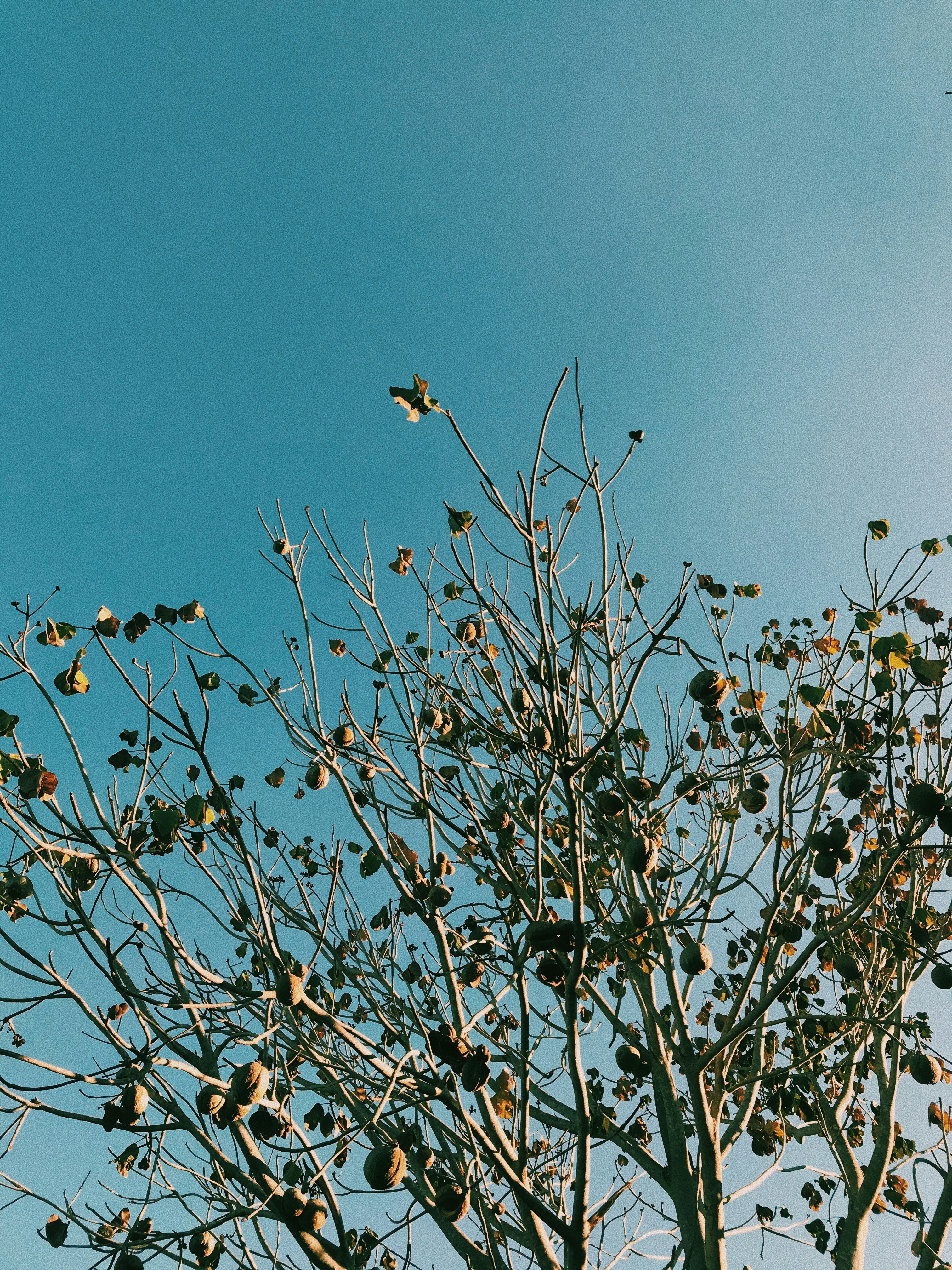 Photo by gabriellemeschini